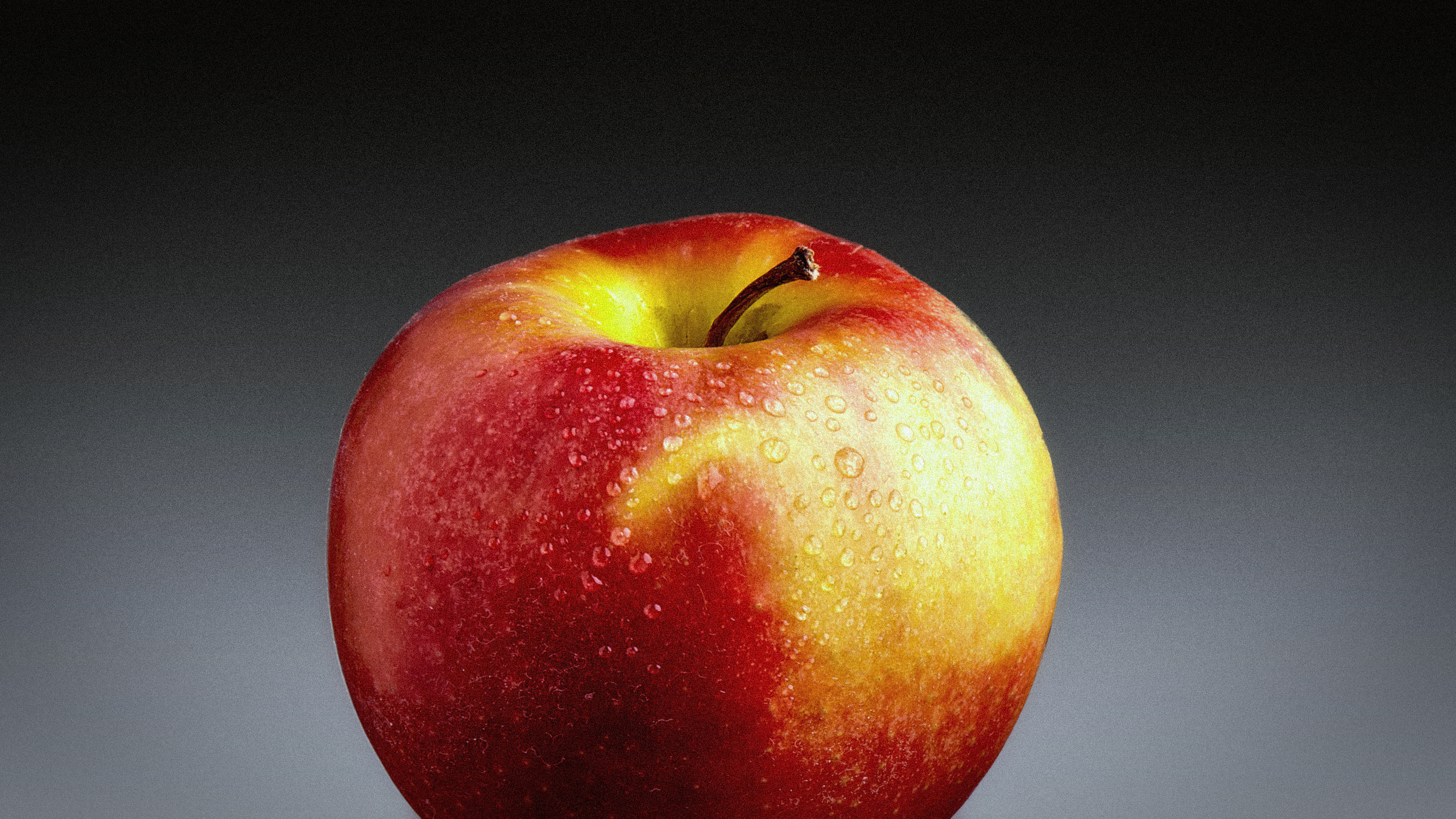 Предметная съемка. Пейзажный и семейный фотограф в Санкт-Петербурге Александр Белов