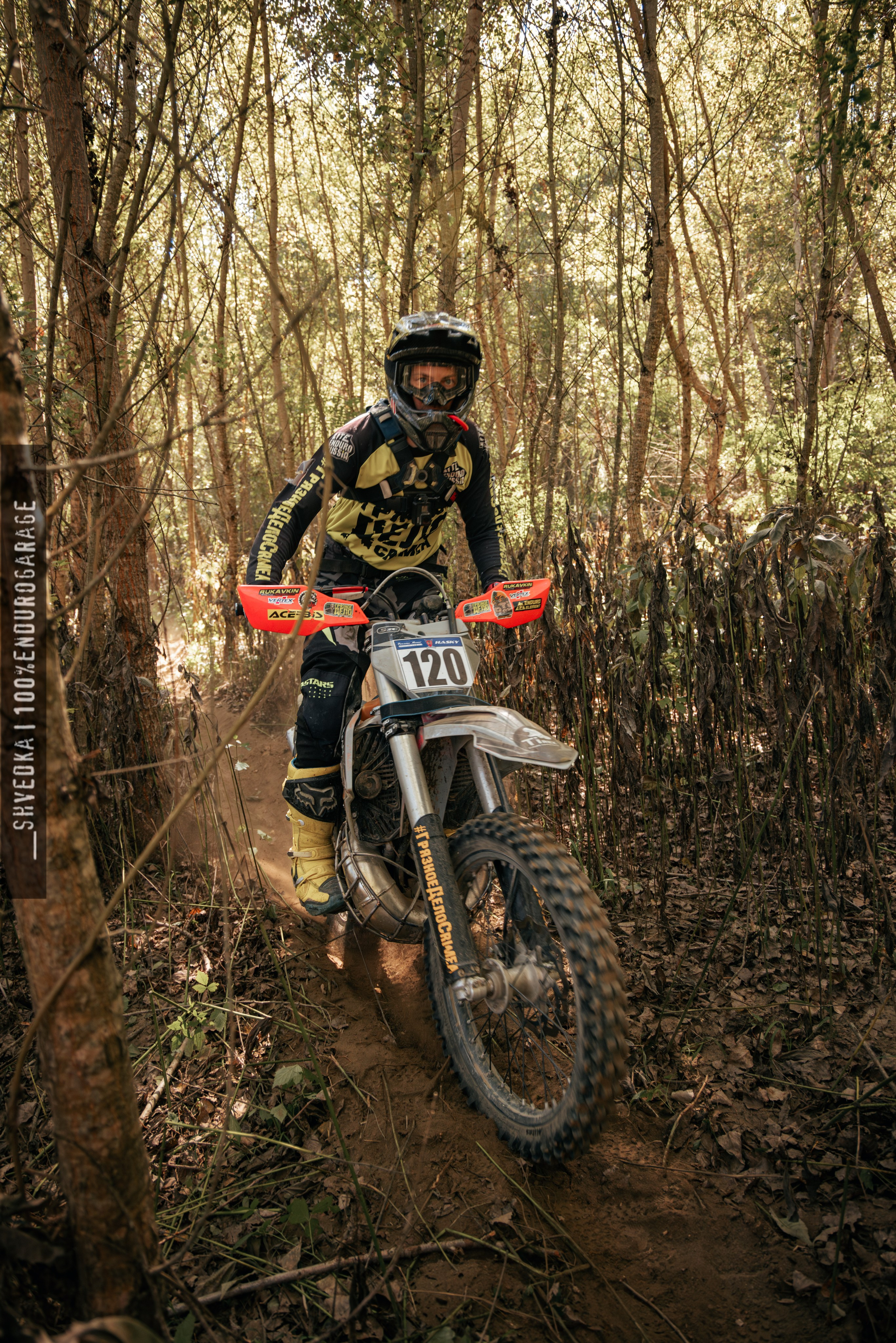 1 лесной день. Ваш экстрим фотограф Кудрева Яна