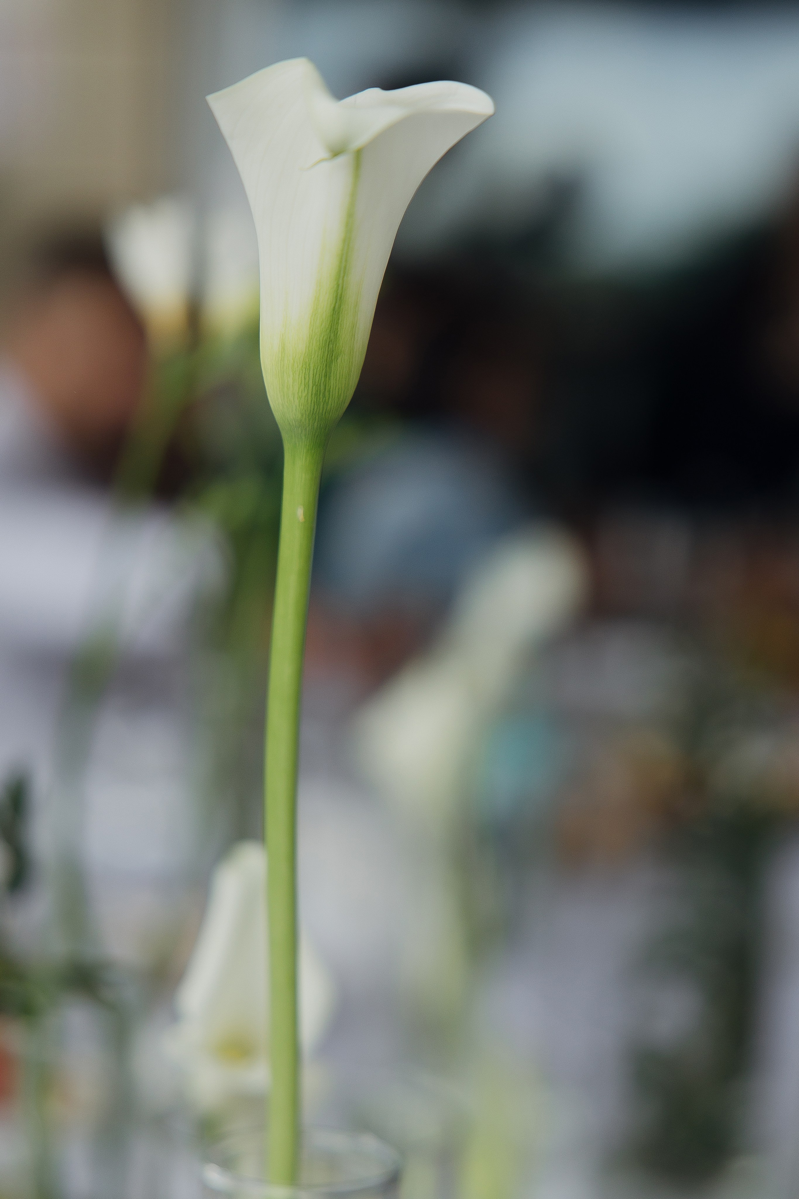 Венчание. Главная