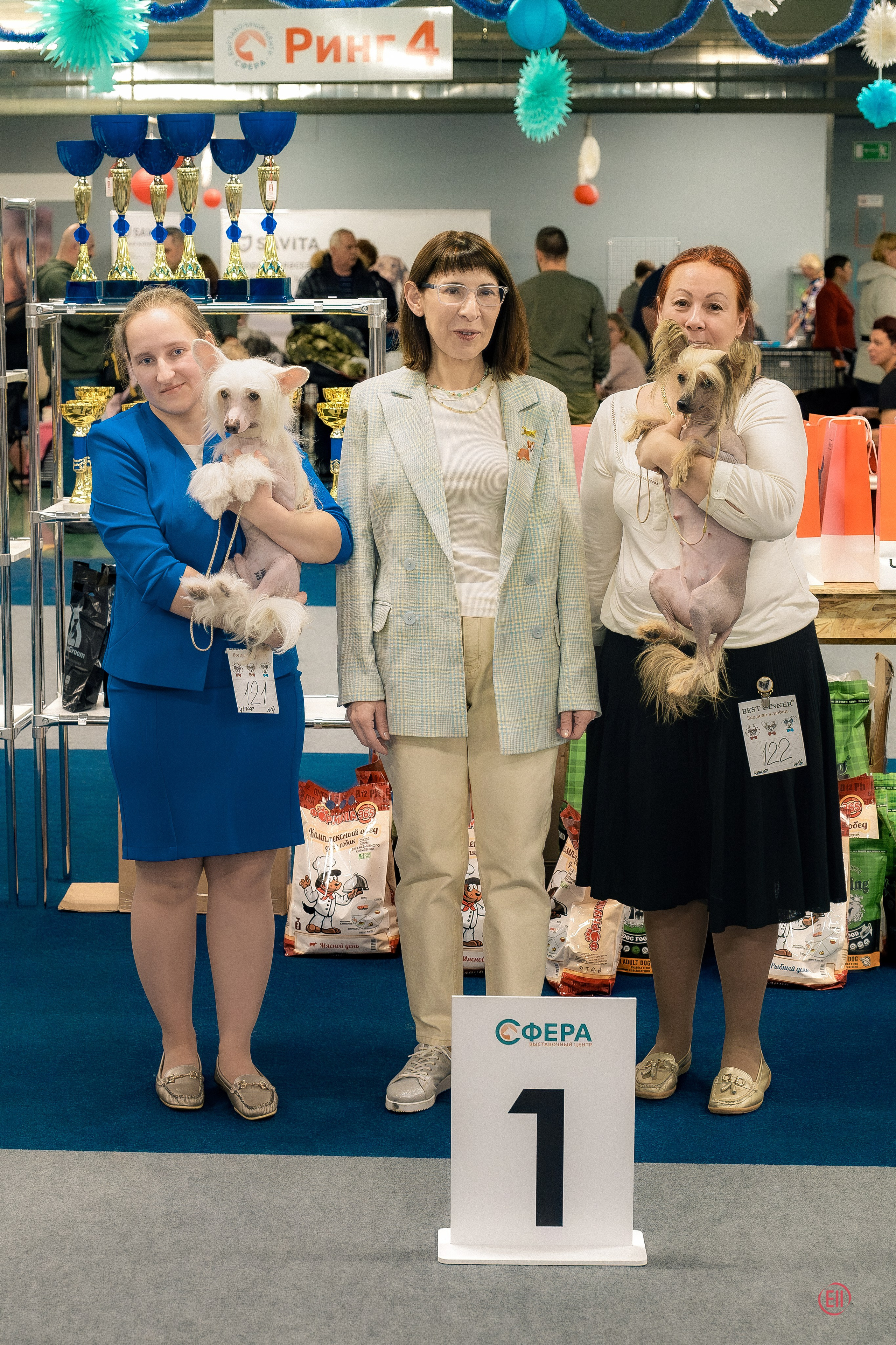 Выставка собак. Сфера. 17.12.2023. Фотограф в Москве