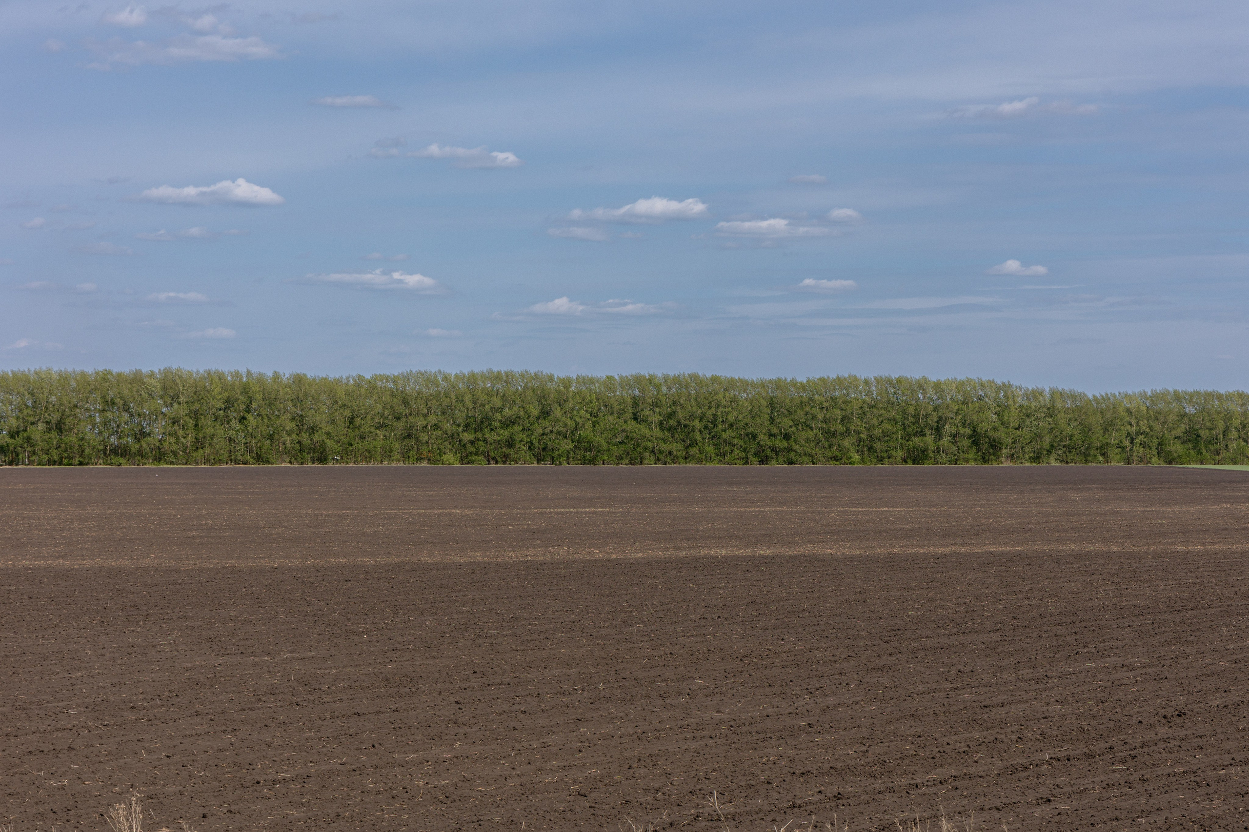 Земельный участок с объектами на нём. Владислав Волков | Фотография и видеосъемка в Воронеже