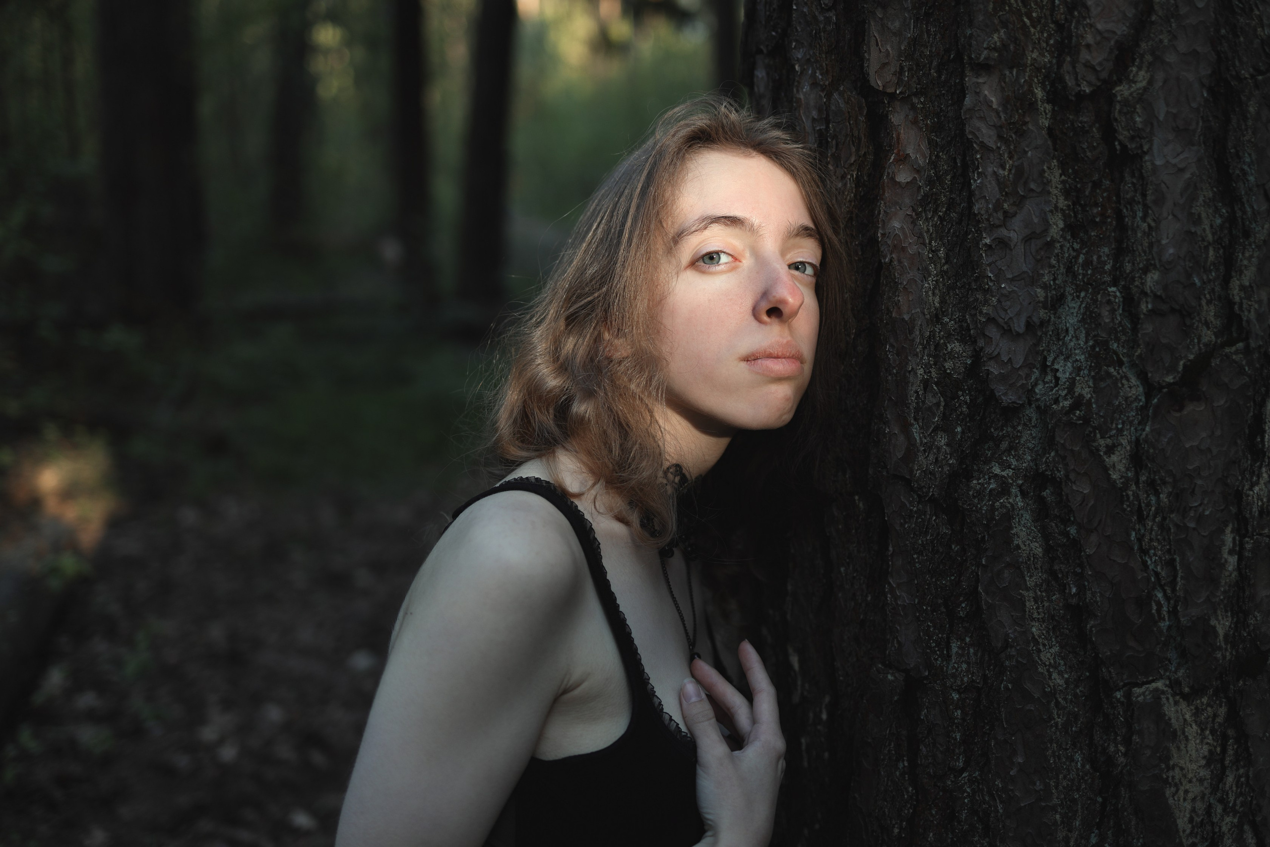 Schutzwald. Арт-фотограф. Coffelisk