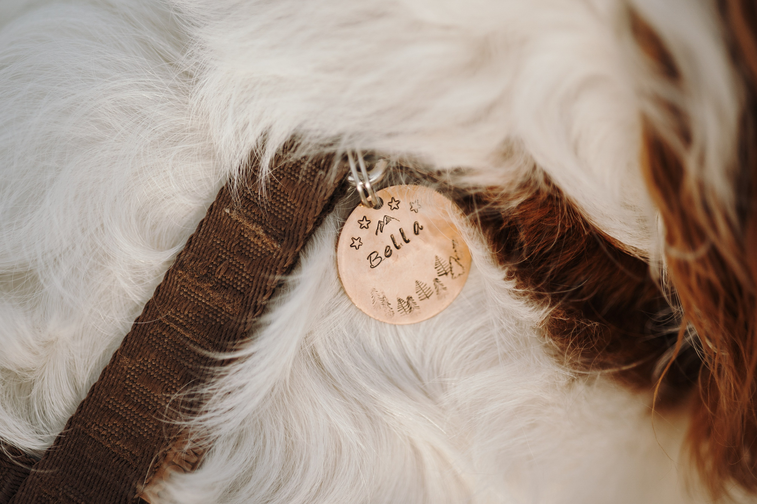 Влада и Белла. Фотограф — Анималист | Санкт-Петербург