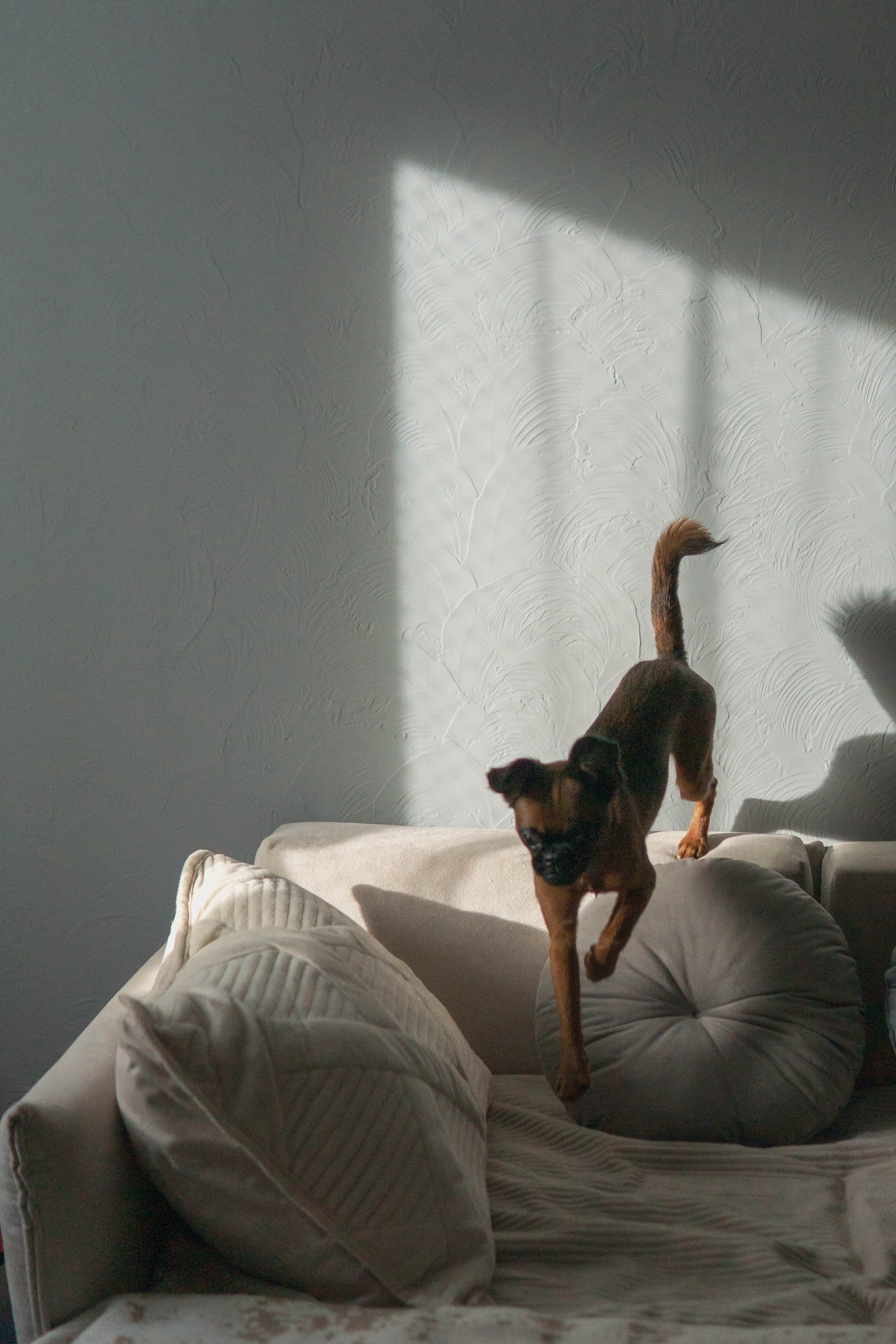 Надя и Ефим. Фотограф-анималист Ксения Воробьева, Москва