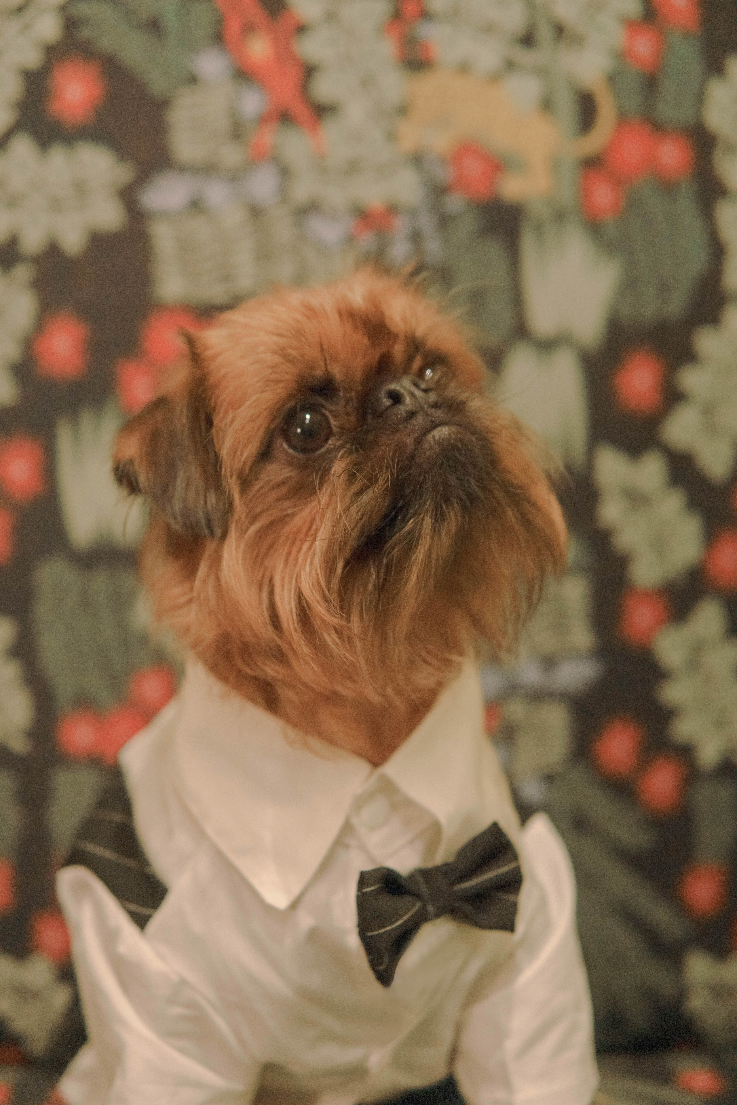 Наташа и Хавьер. Фотограф-анималист Ксения Воробьева, Москва