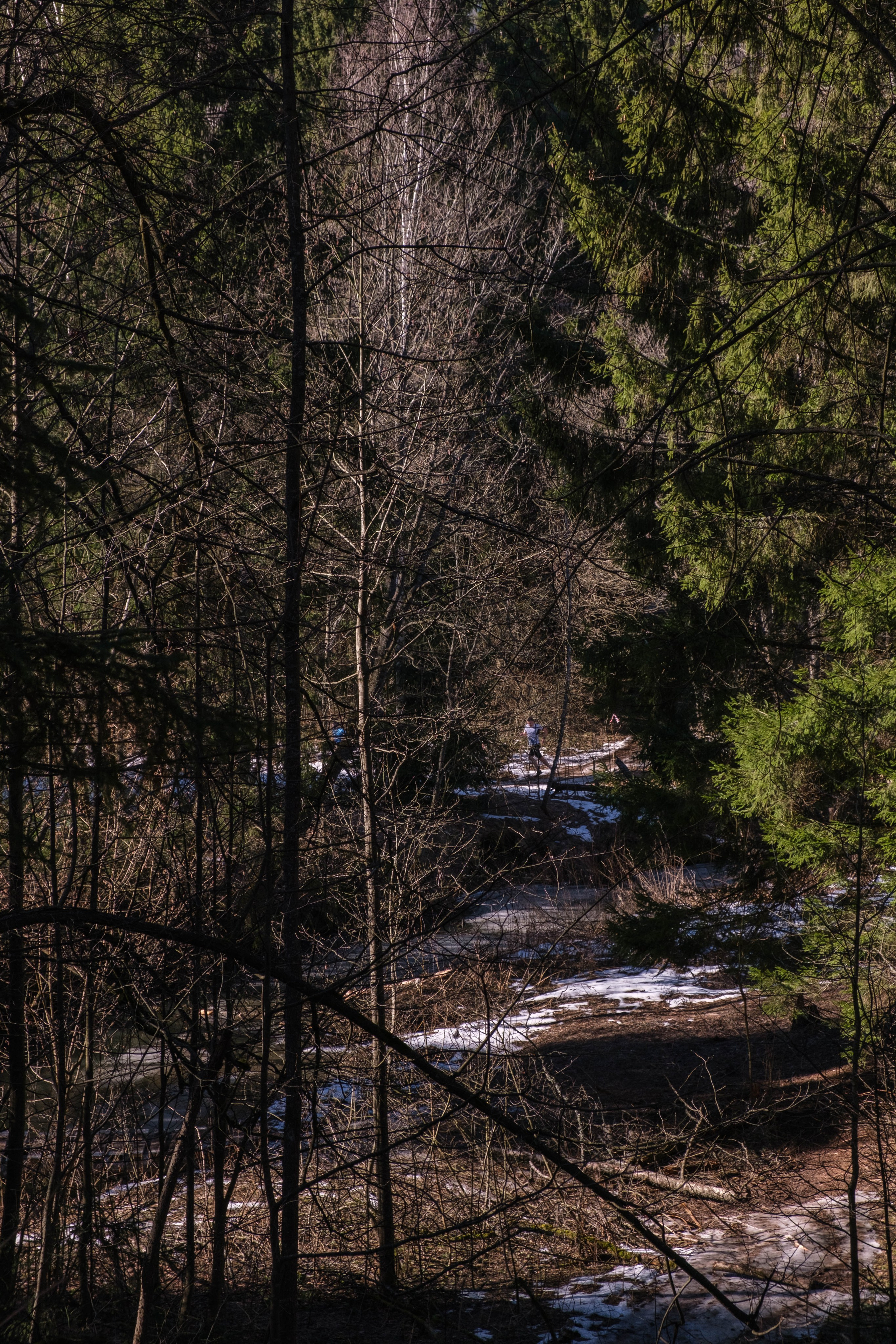 OPEN BAND ЛЁД | 09 марта 2025. Фотограф Диана Иремадзе