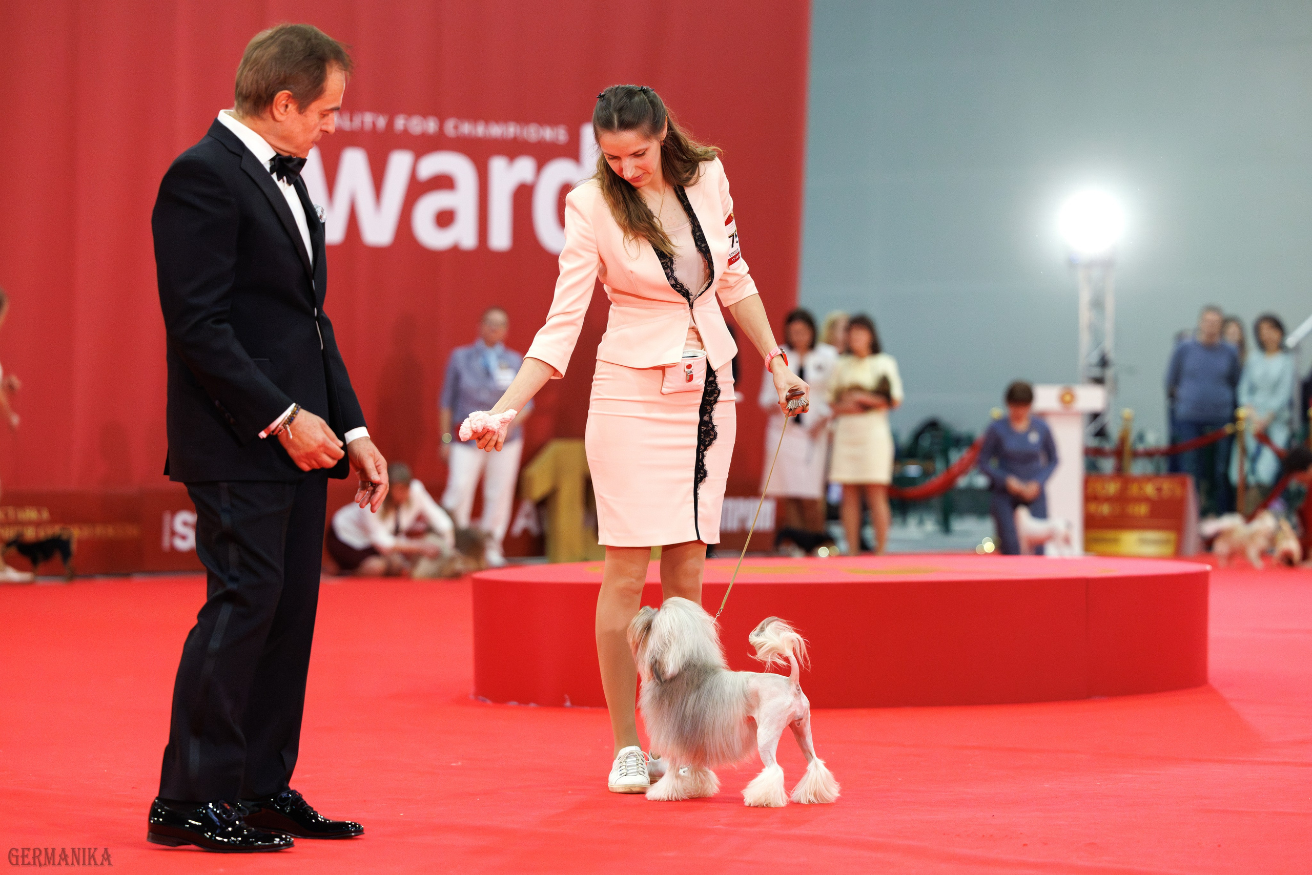 Лучшие Собаки России 17-18.02.2024. Фотограф-анималист Юлия Германика