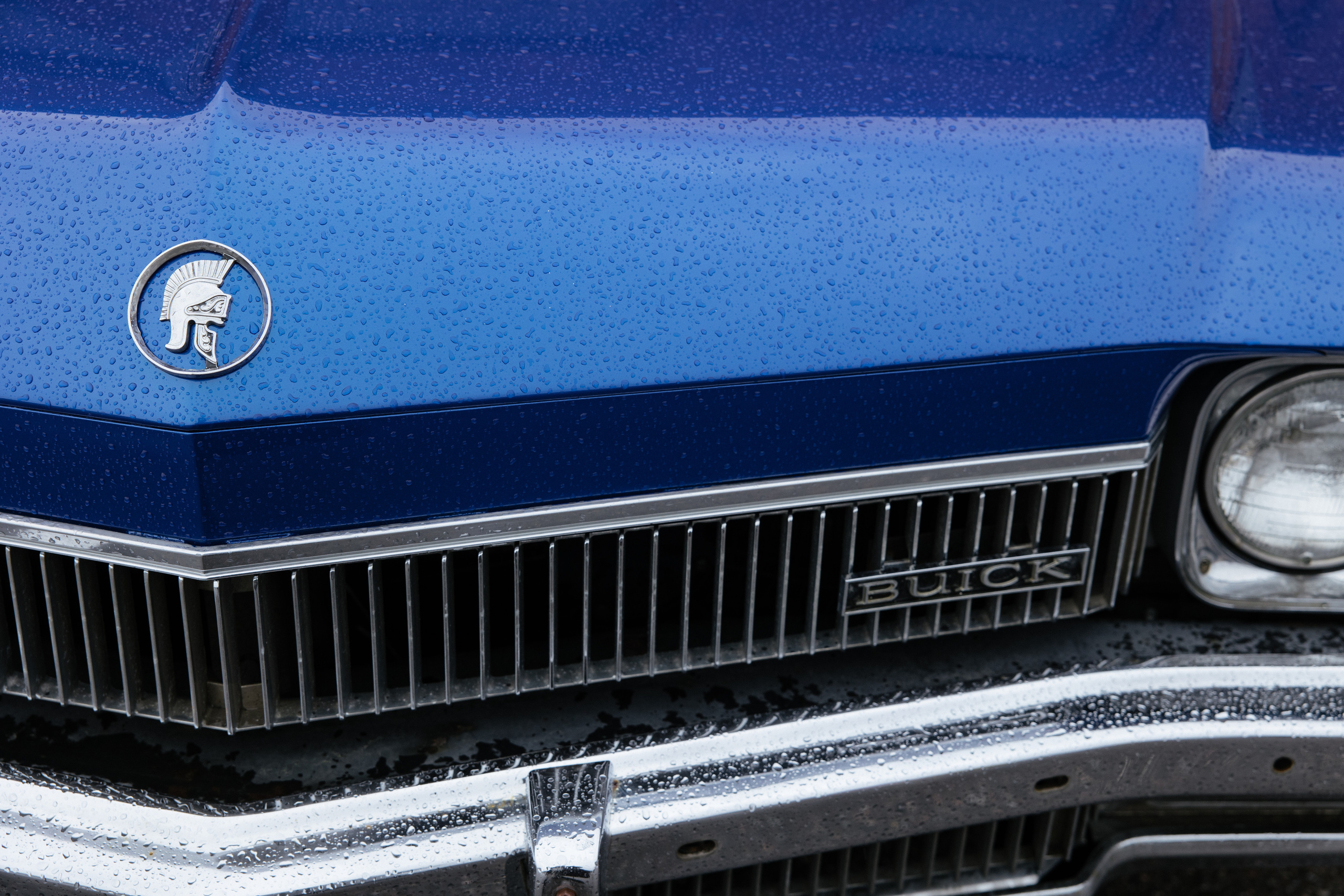 Дима и Таня. Свадебный фотограф Виктория Монахова Москва