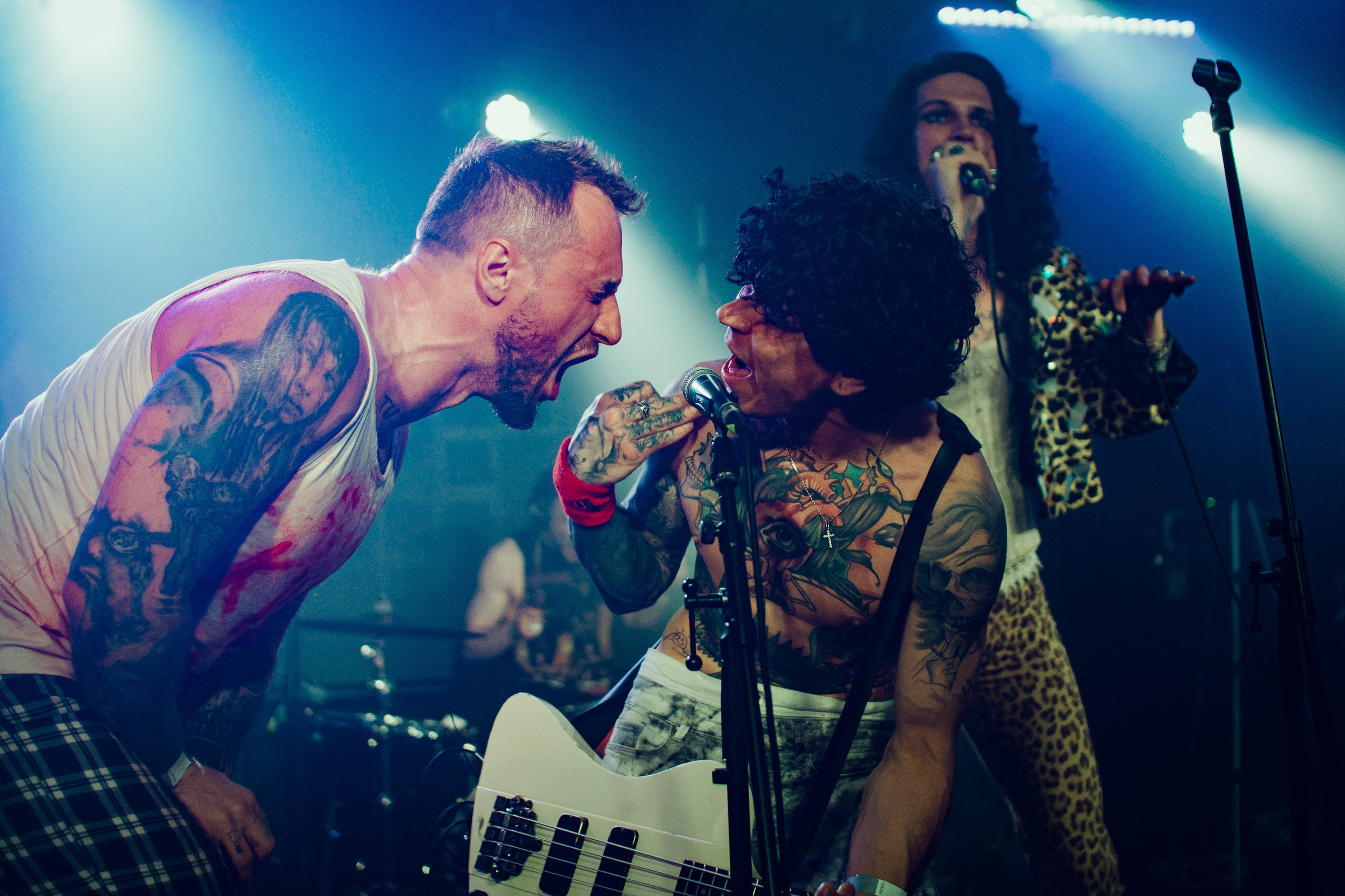 Концертное портфолио. Портфолио