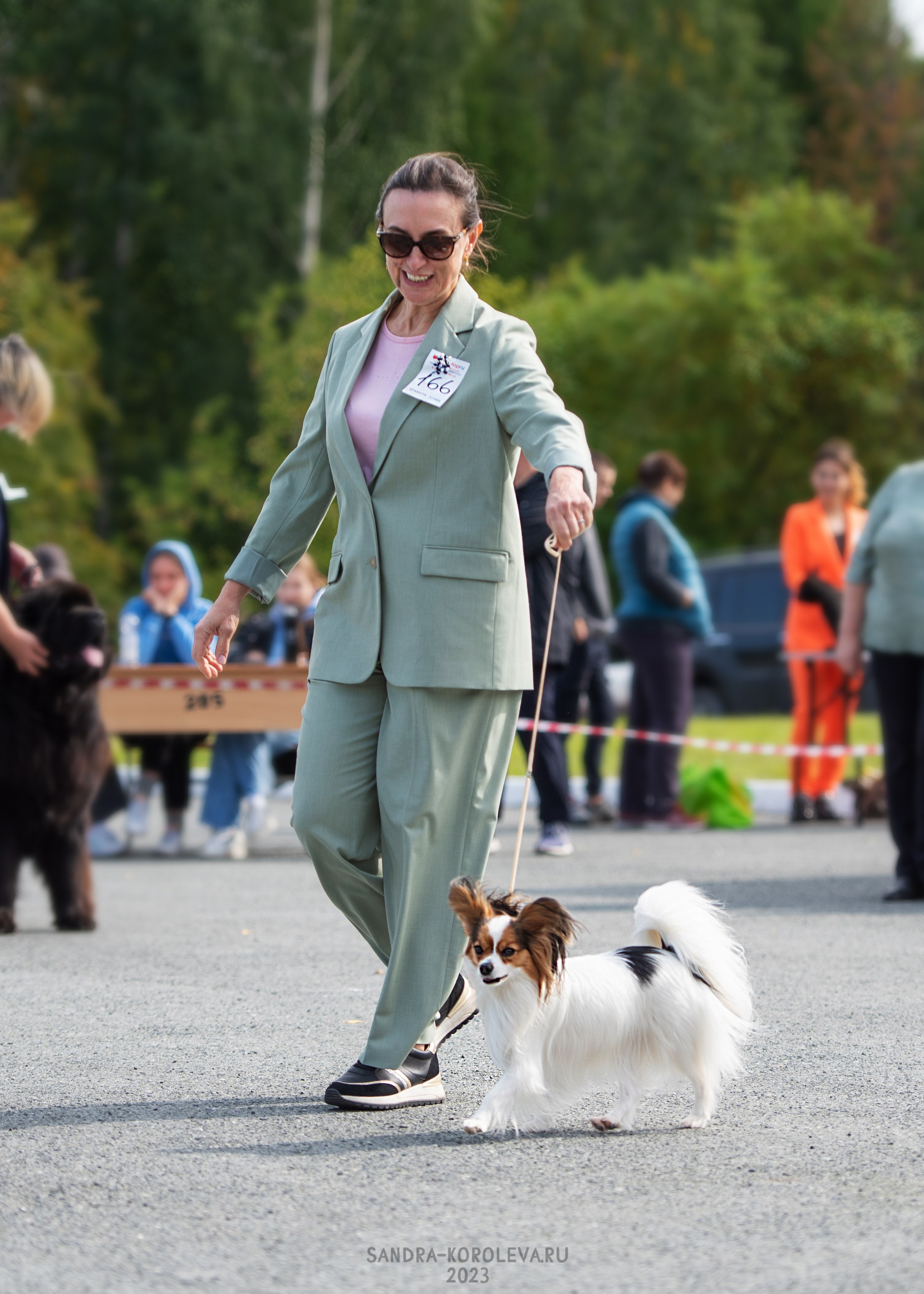 Выставка собак Тюмень 02.09.2023. Дог-фотограф в Тюмени Александра Королева