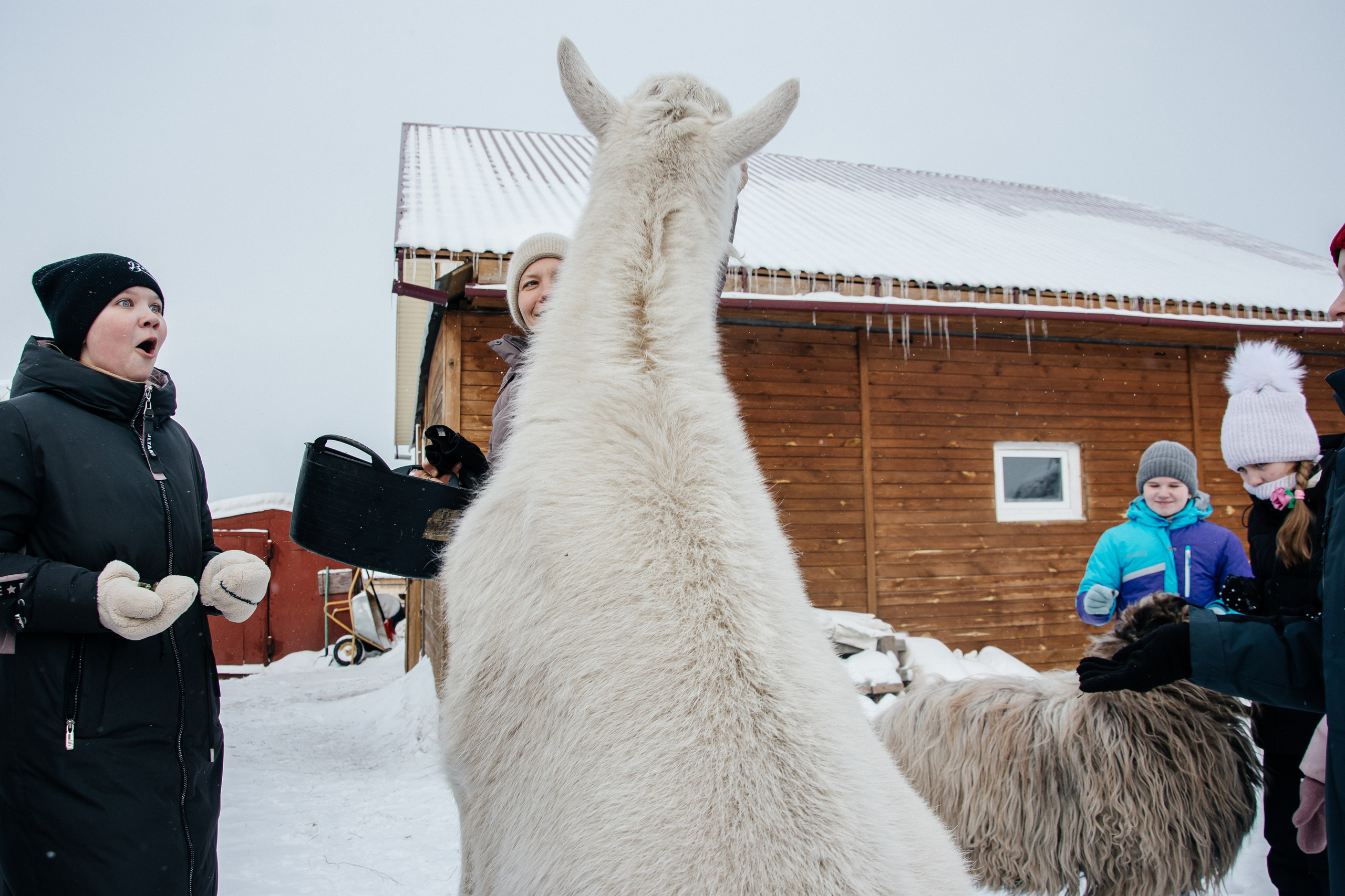 Детская прогулка. Фотограф на все случаи