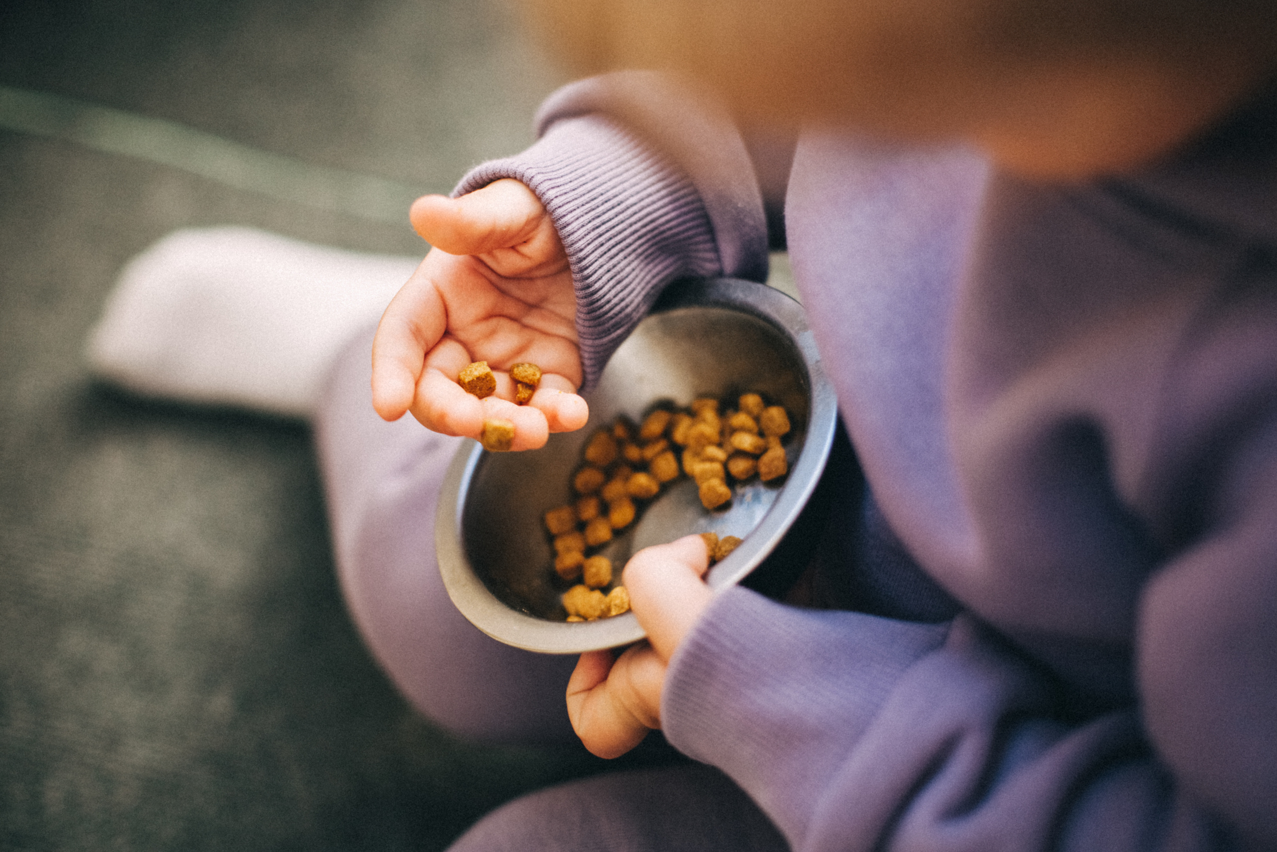 Юнона и Сашенька. Семейный фотограф, фотограф родов, репортажей фотограф в Санкт-Петербу