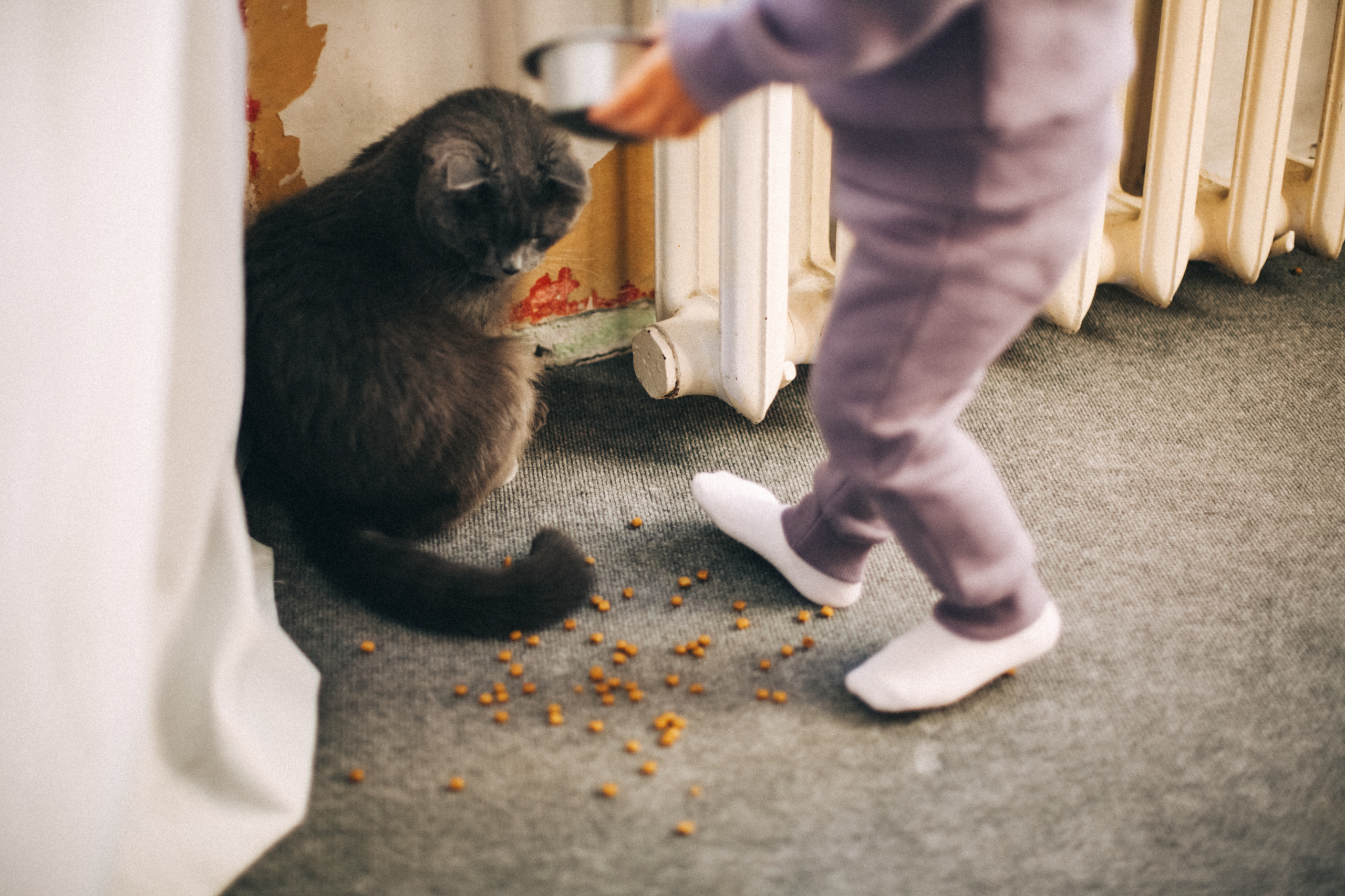 Юнона и Сашенька. Семейный фотограф, фотограф родов, репортажей фотограф в Санкт-Петербу