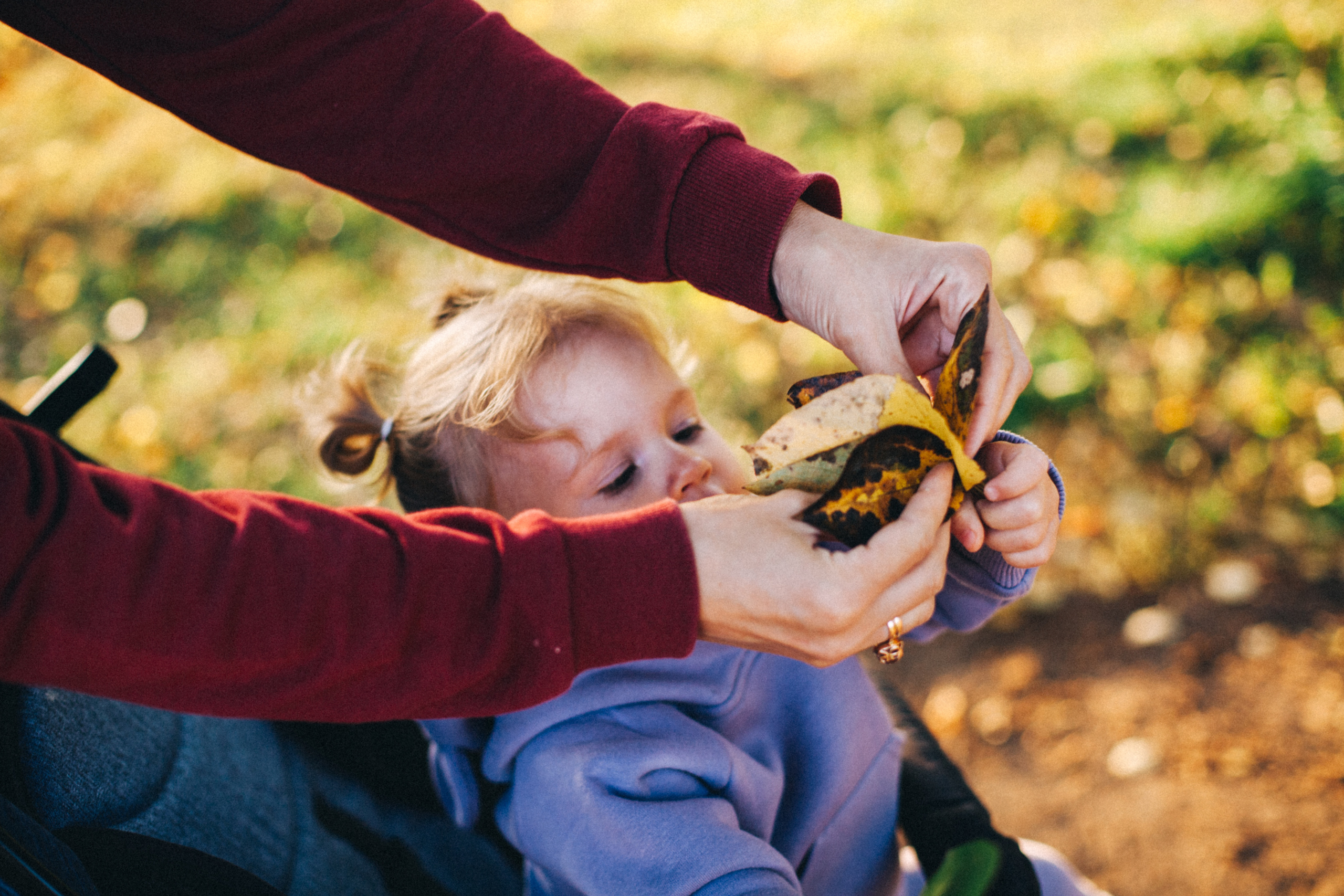 Юнона и Сашенька. Семейный фотограф, фотограф родов, репортажей фотограф в Санкт-Петербу