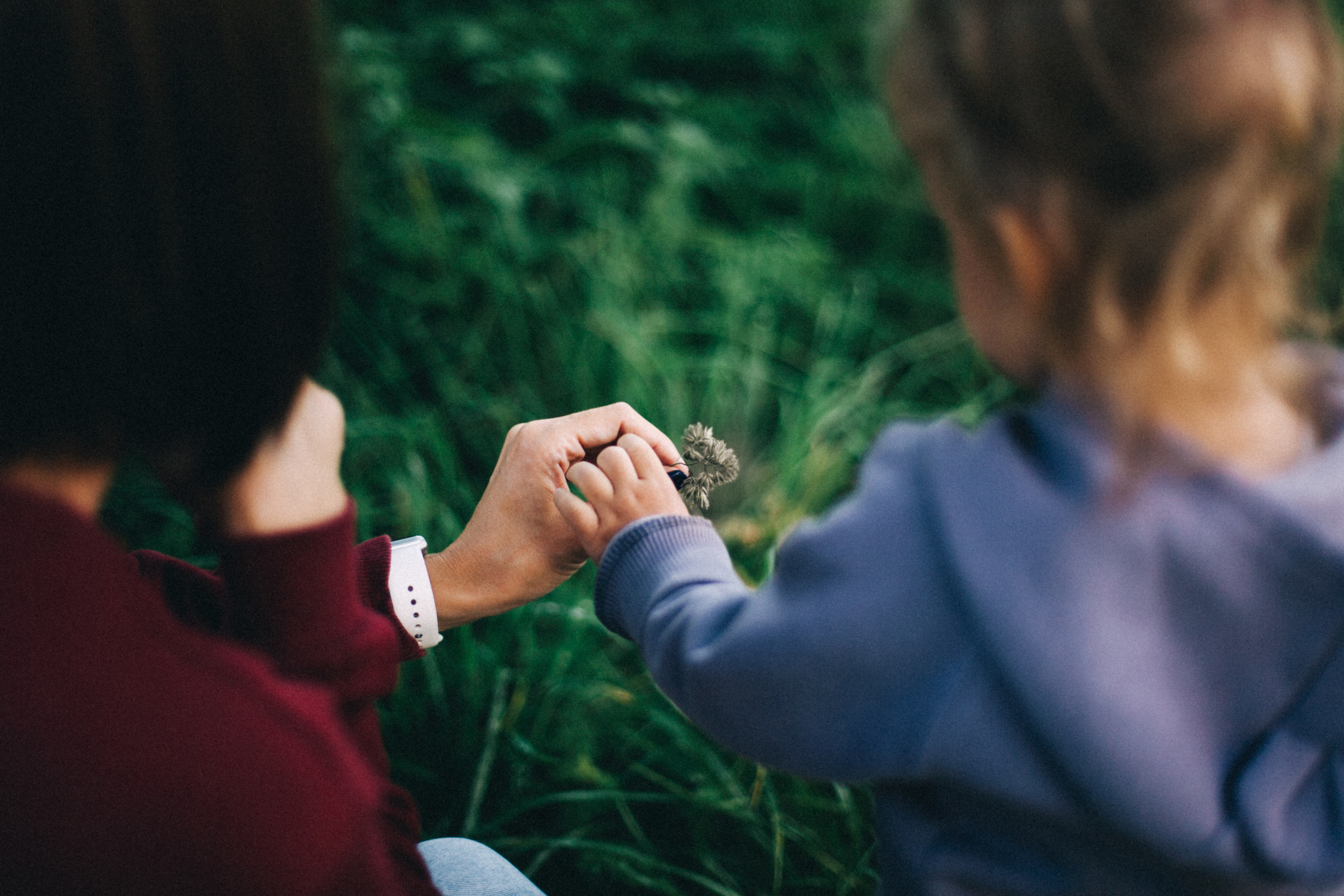 Юнона и Сашенька. Семейный фотограф, фотограф родов, репортажей фотограф в Санкт-Петербу