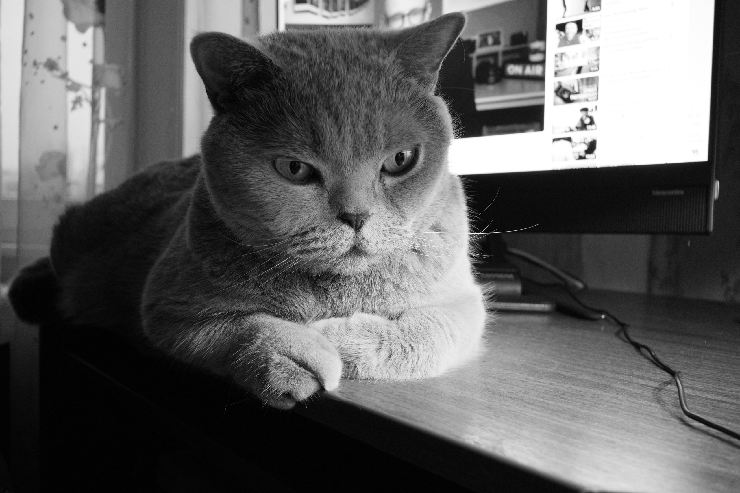 Улица, люди, жизнь…