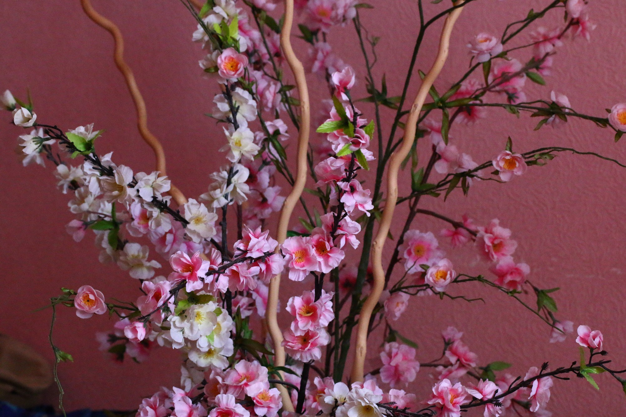 Геленджик 2016 г. Улица, люди, жизнь…