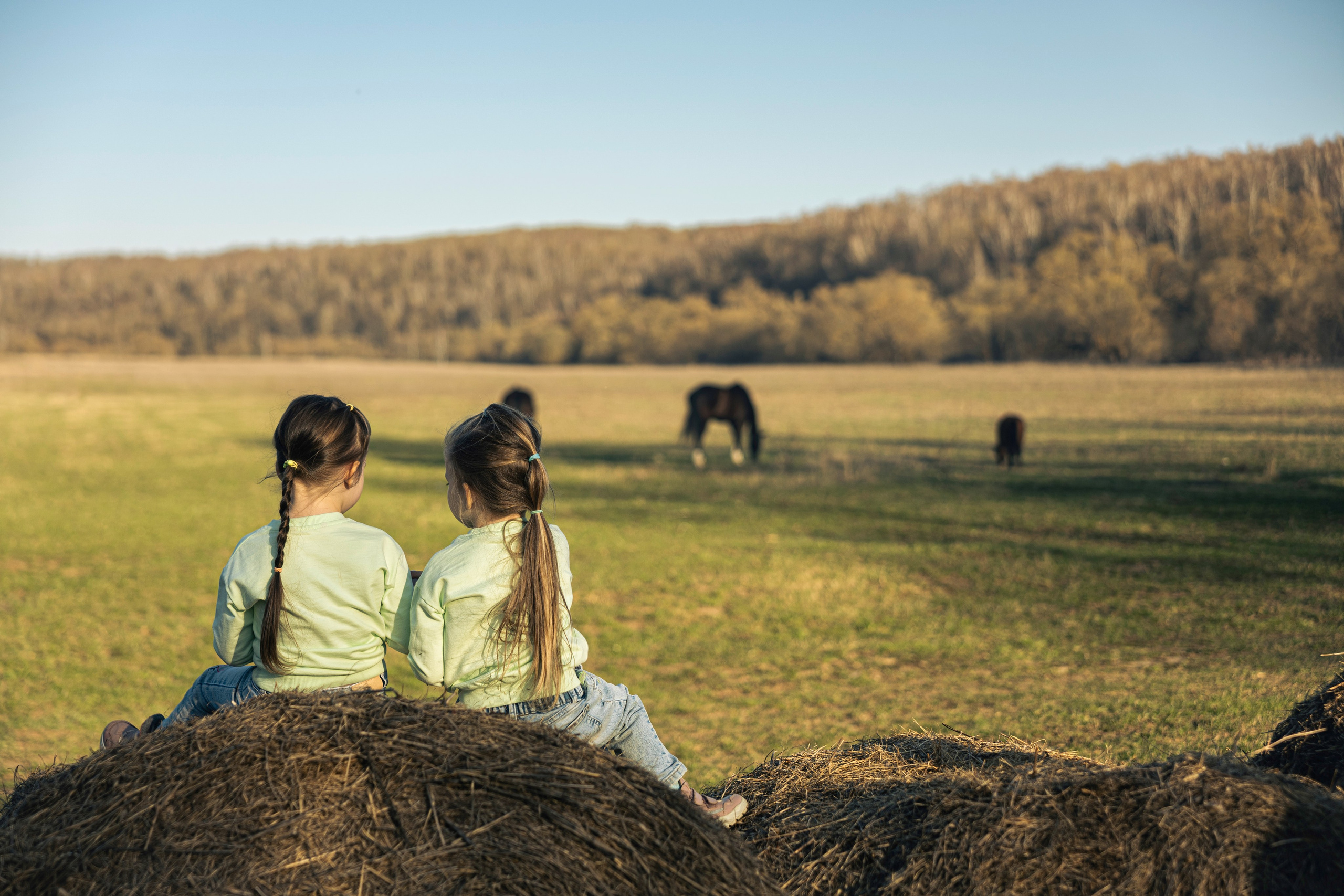 Май, Природа. Фотограф в Москве Алексей Вовк