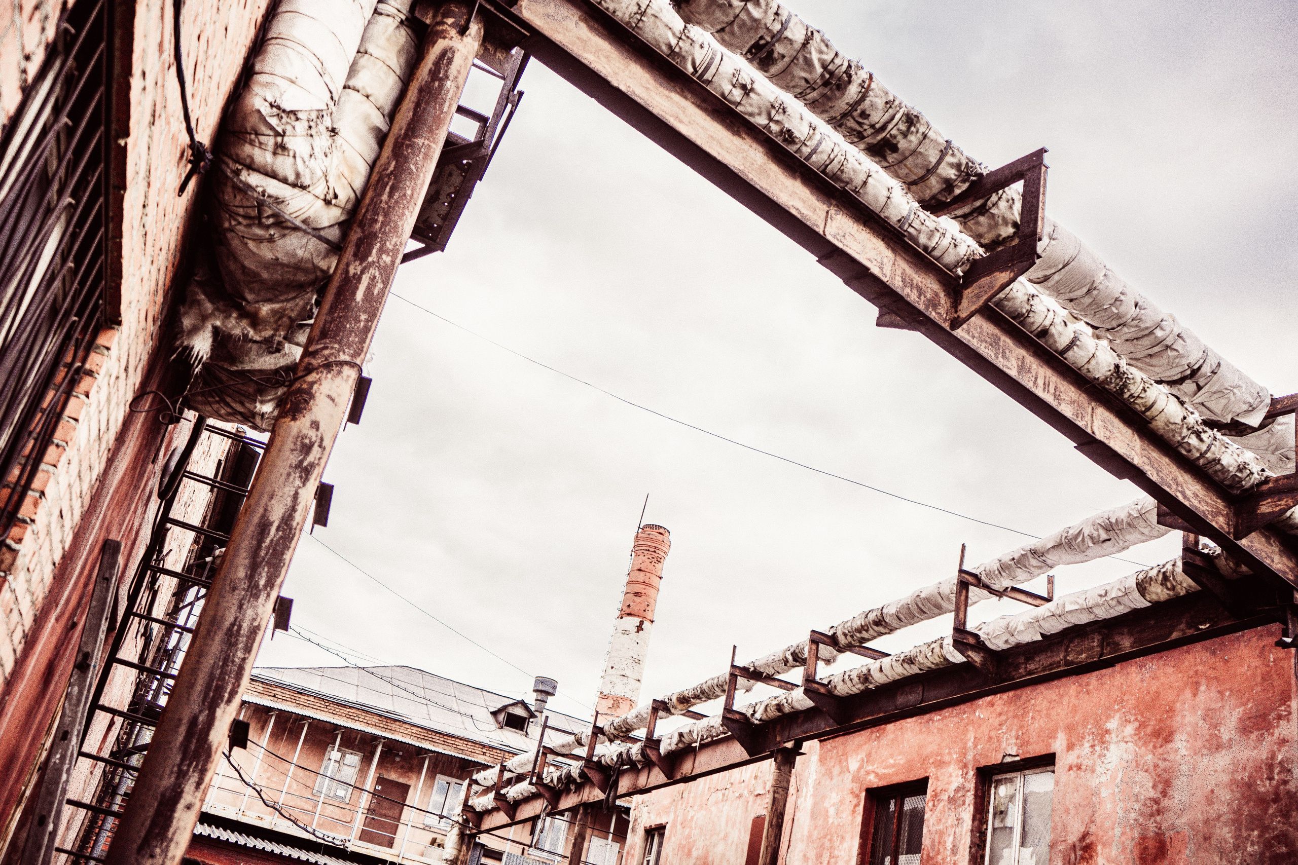 Guidelines. Whoii art