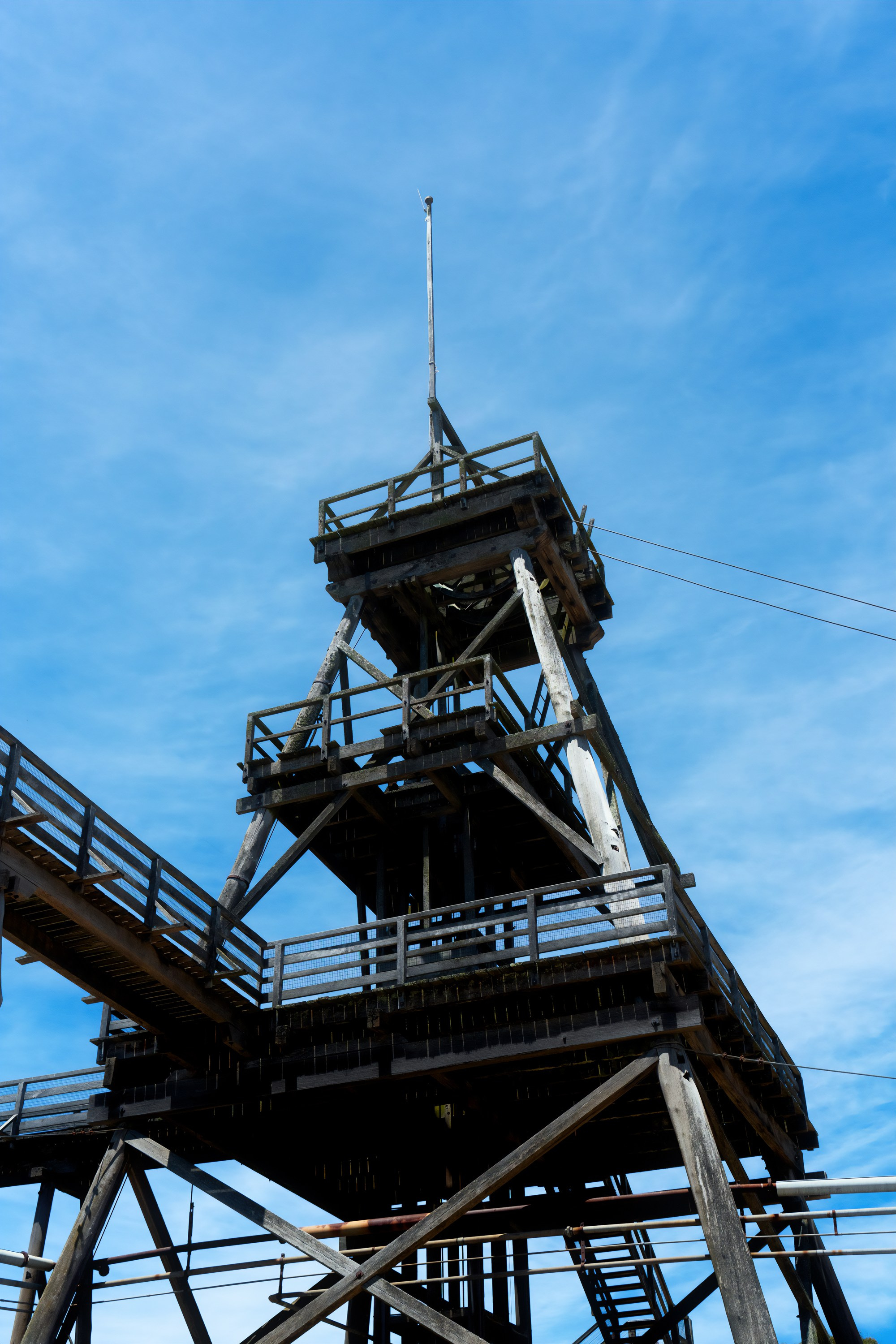 Австралия. Фотограф в Хабаровске. Фотография за 24 часа