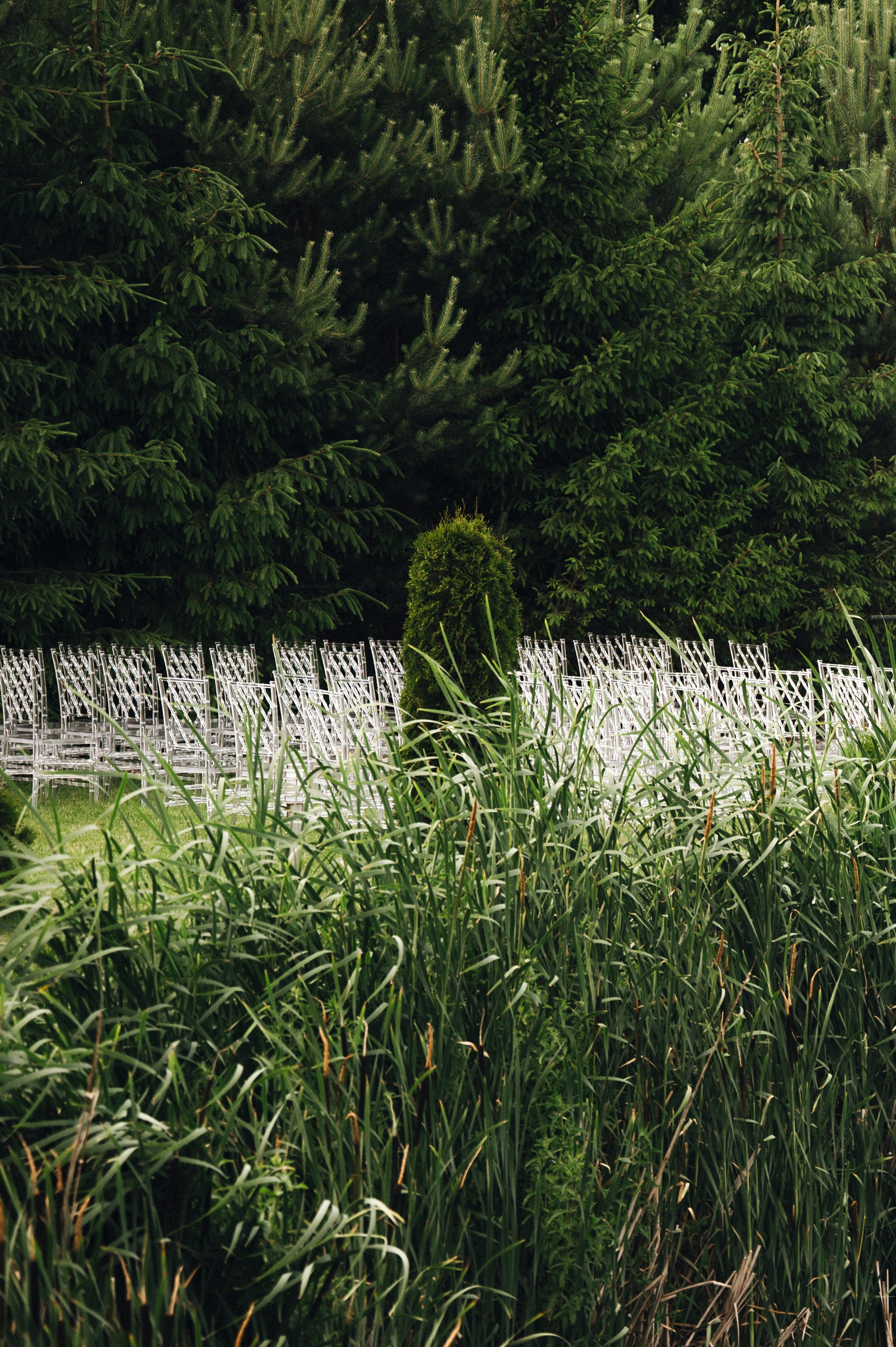 Если в сердце живет любовь. Свадебный фотограф в Минске Тагай Наталья