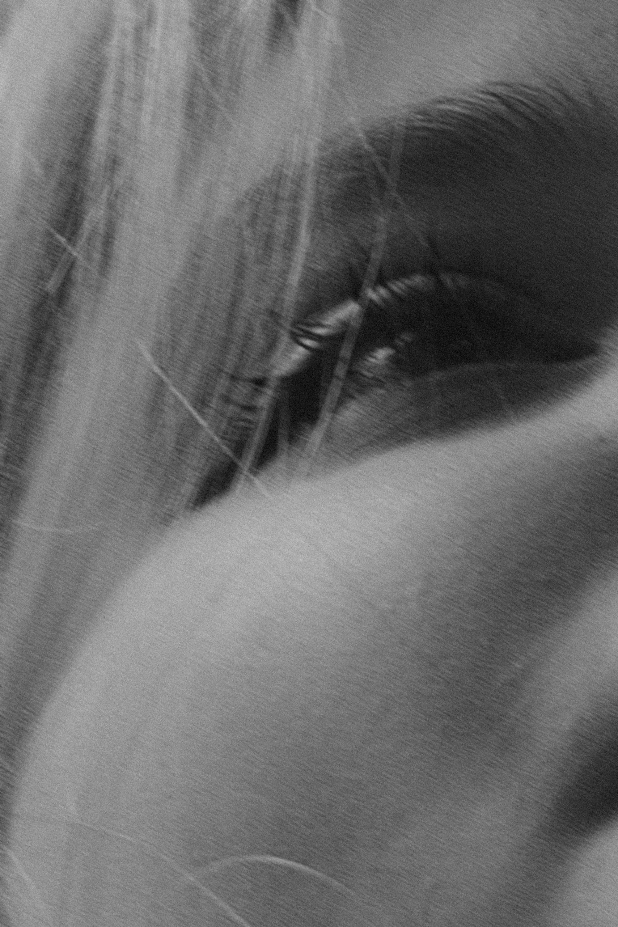 Саша и Асти. Фотограф анималист в Москве и Санкт-Петербурге Свиридова Анна