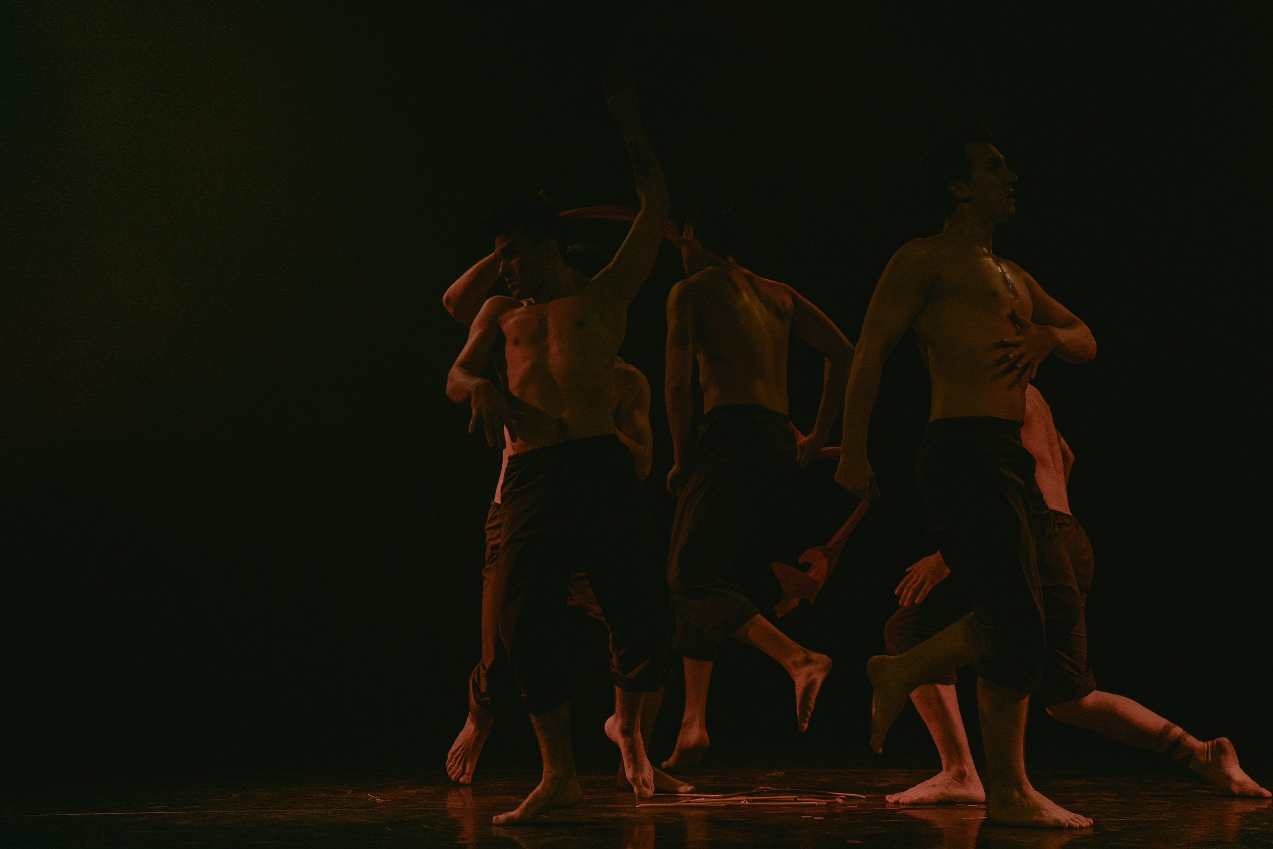 Парафраз. Упсала-Цирк. Paraphrase. Upsala Circus. Фотограф Ирина Соколенко Санкт-Петербург