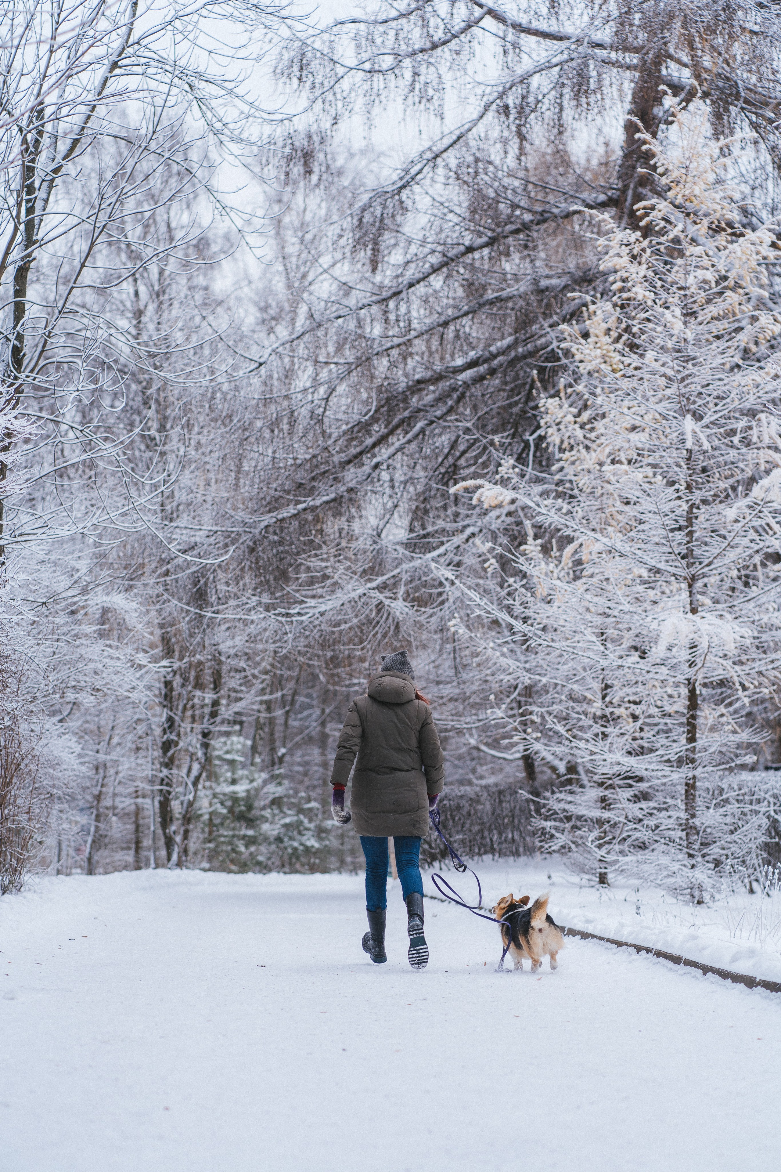 Каспер и Полина. Свадебный фотограф в Москве Анна Полушина