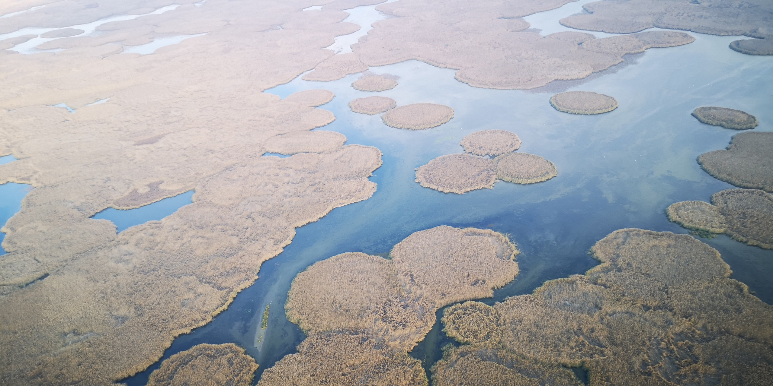 Каспийское море (наука на Ла-8) (2021 г.). Фотоальбом показывающий увлекательный мир авиации и мир медведей Андрея Иванова
