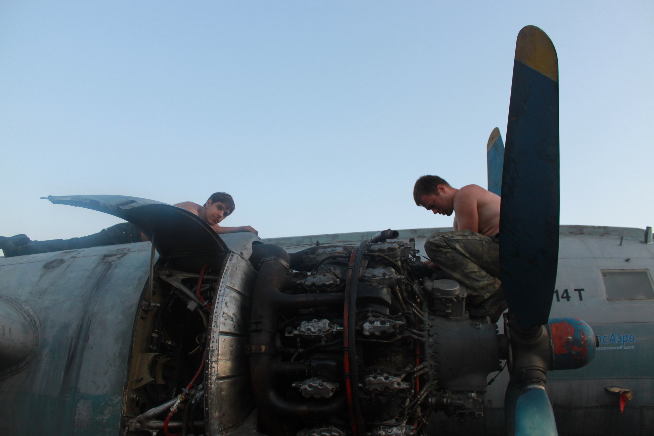 Ил-14Т «Голубая Мечта» работы в Тушино (2011 г.). Фотоальбом показывающий увлекательный мир авиации и мир медведей Андрея Иванова