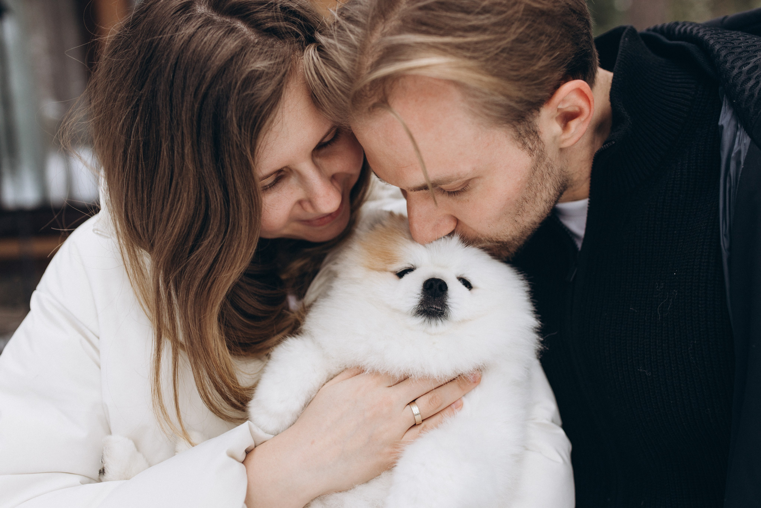 Коттедж и лес. Фотосервис курорта «Охта Парк­­­»