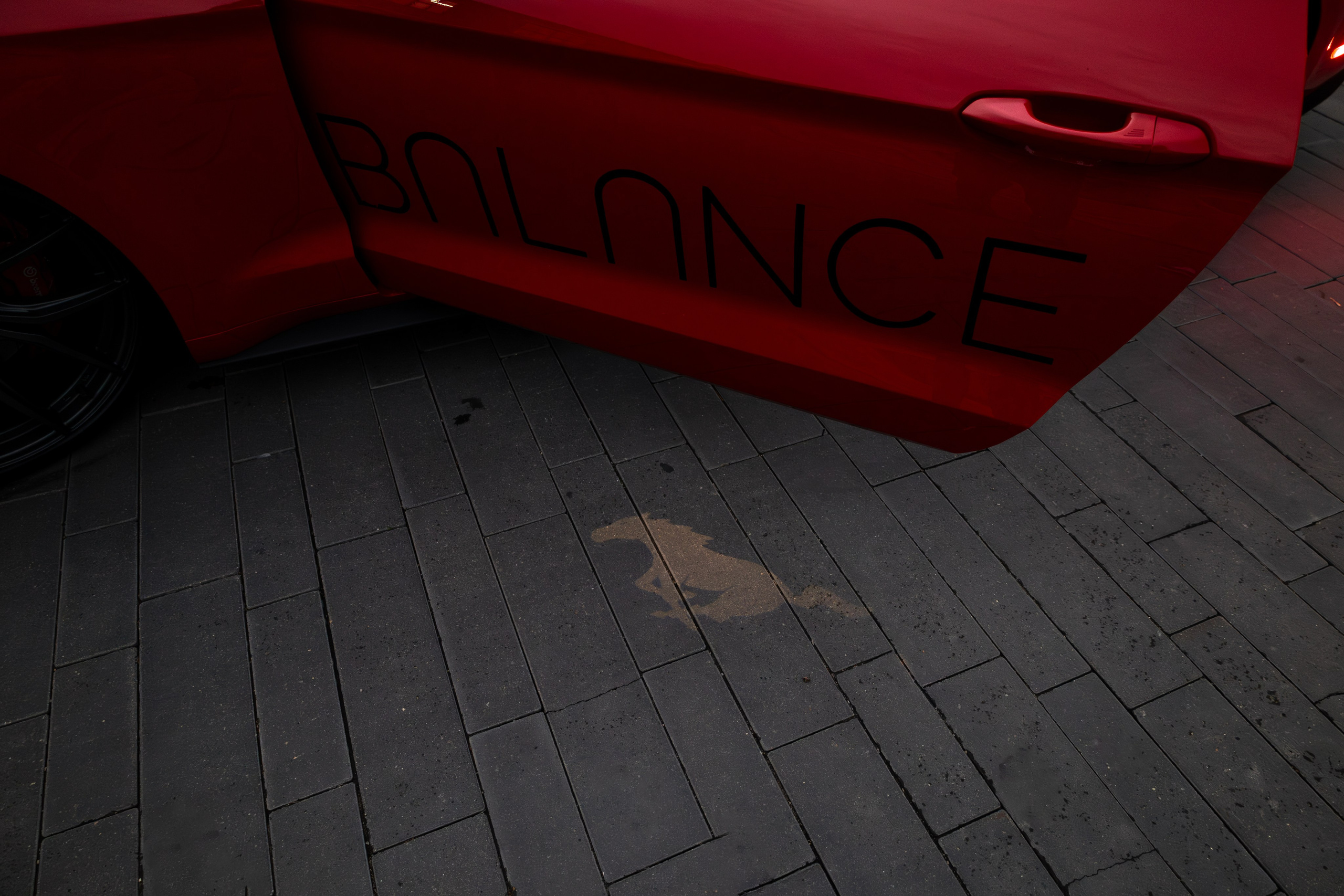 Mustang. Мелехов Дмитрий|Фотограф|Видеограф