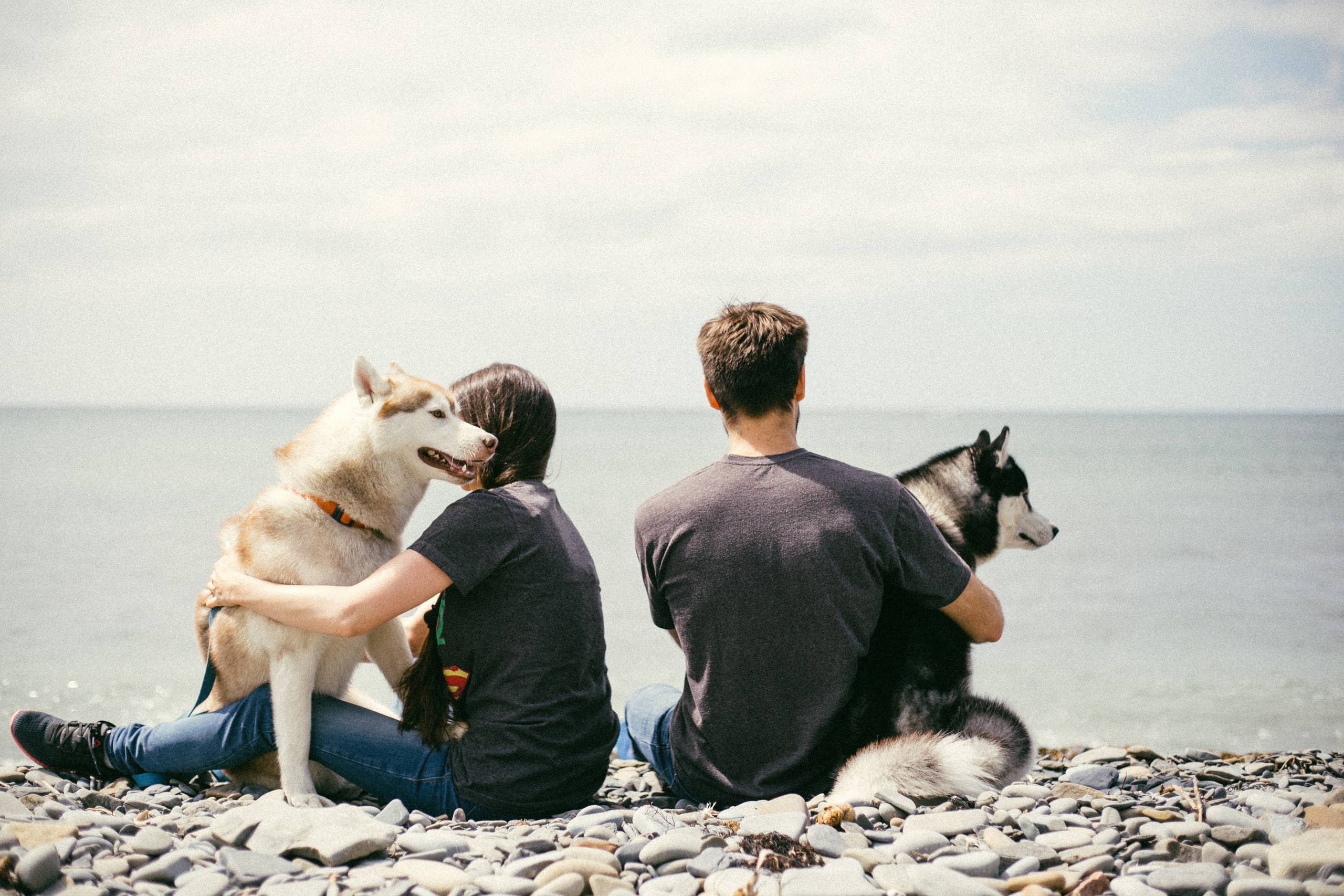 Один чудесный день. Свадебный и семейный фотограф во Владивостоке Овчинникова Дарья