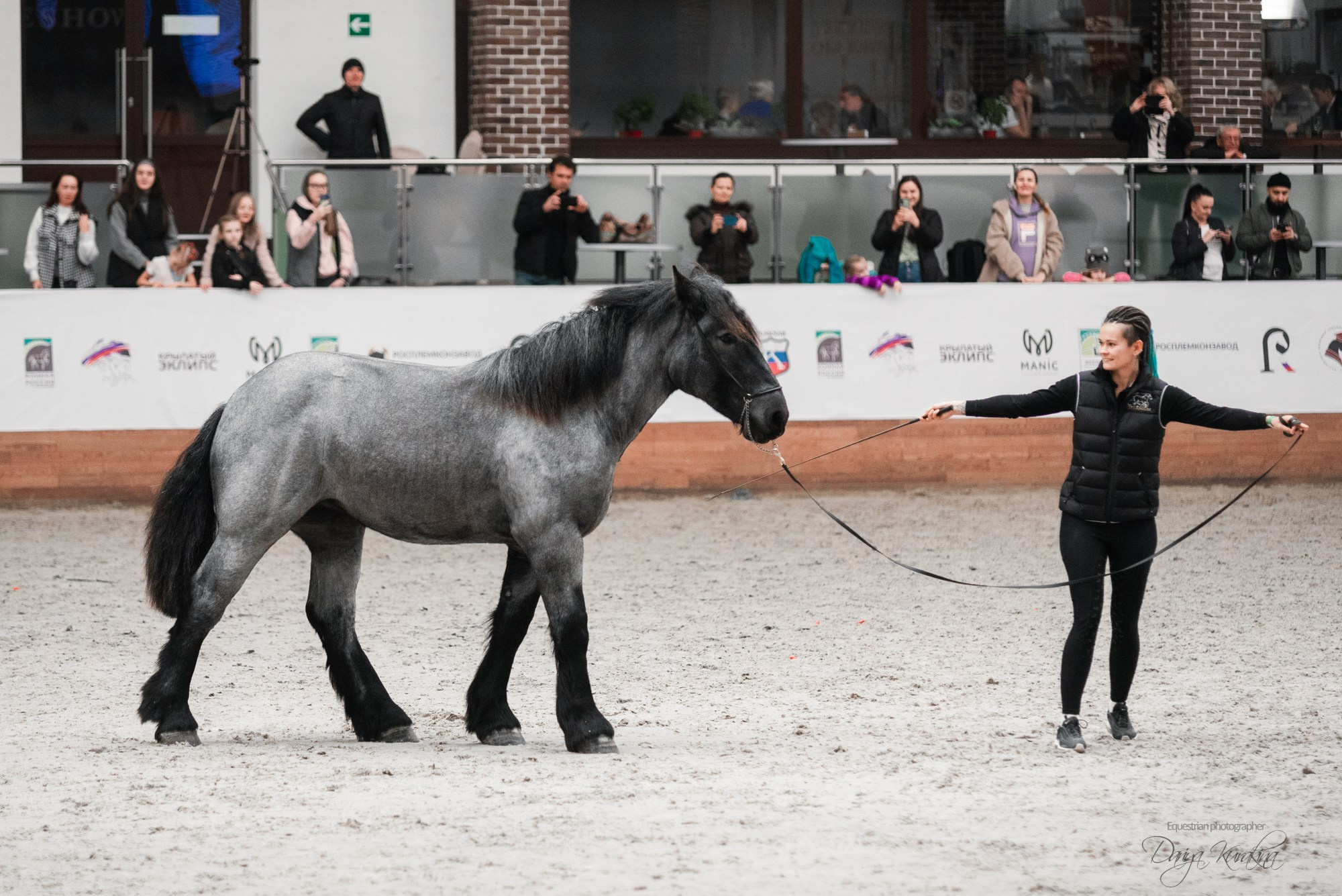 8-я международная выставка Конная Россия. Конный фотограф Куракина Дарья • Фотосессии с лошадьми