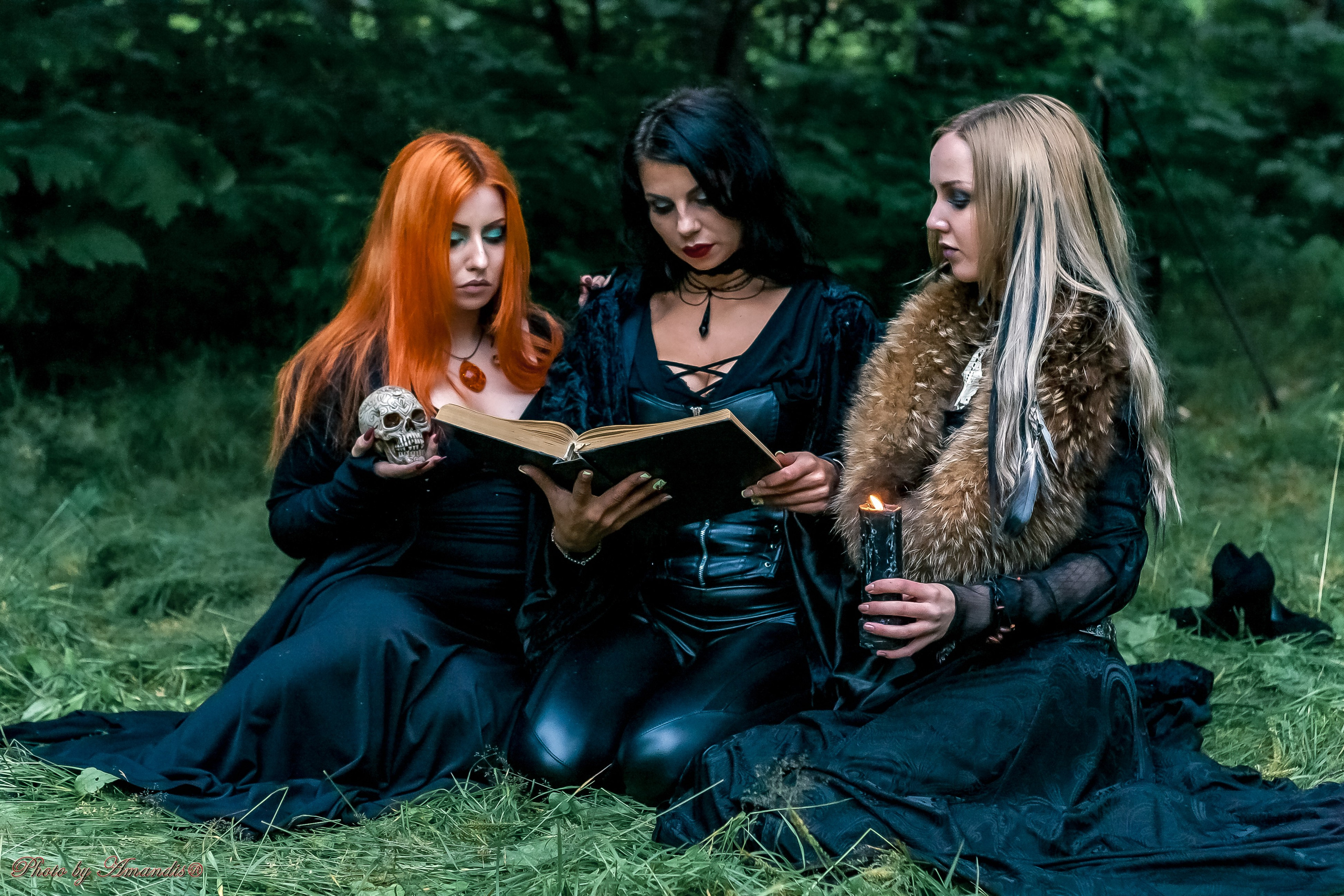 The witches. Репортажная съемка в Москве и области. Анималистика