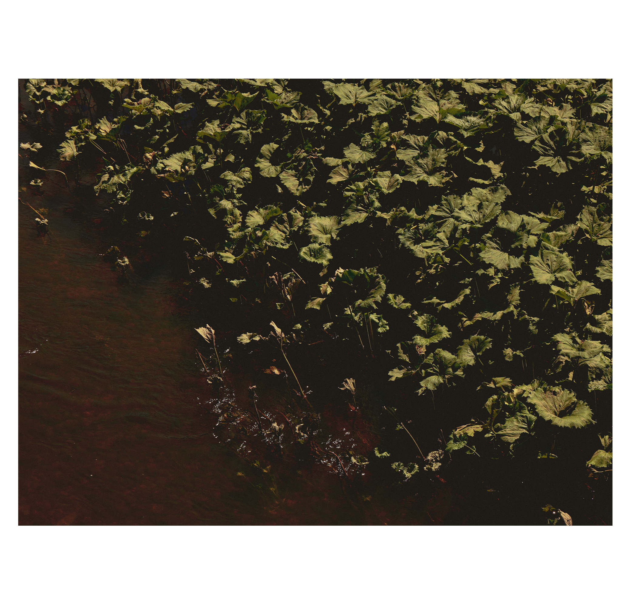 Summer hike. Фотограф/дизайнер в Екатеринбурге Хитрый Дмитрий