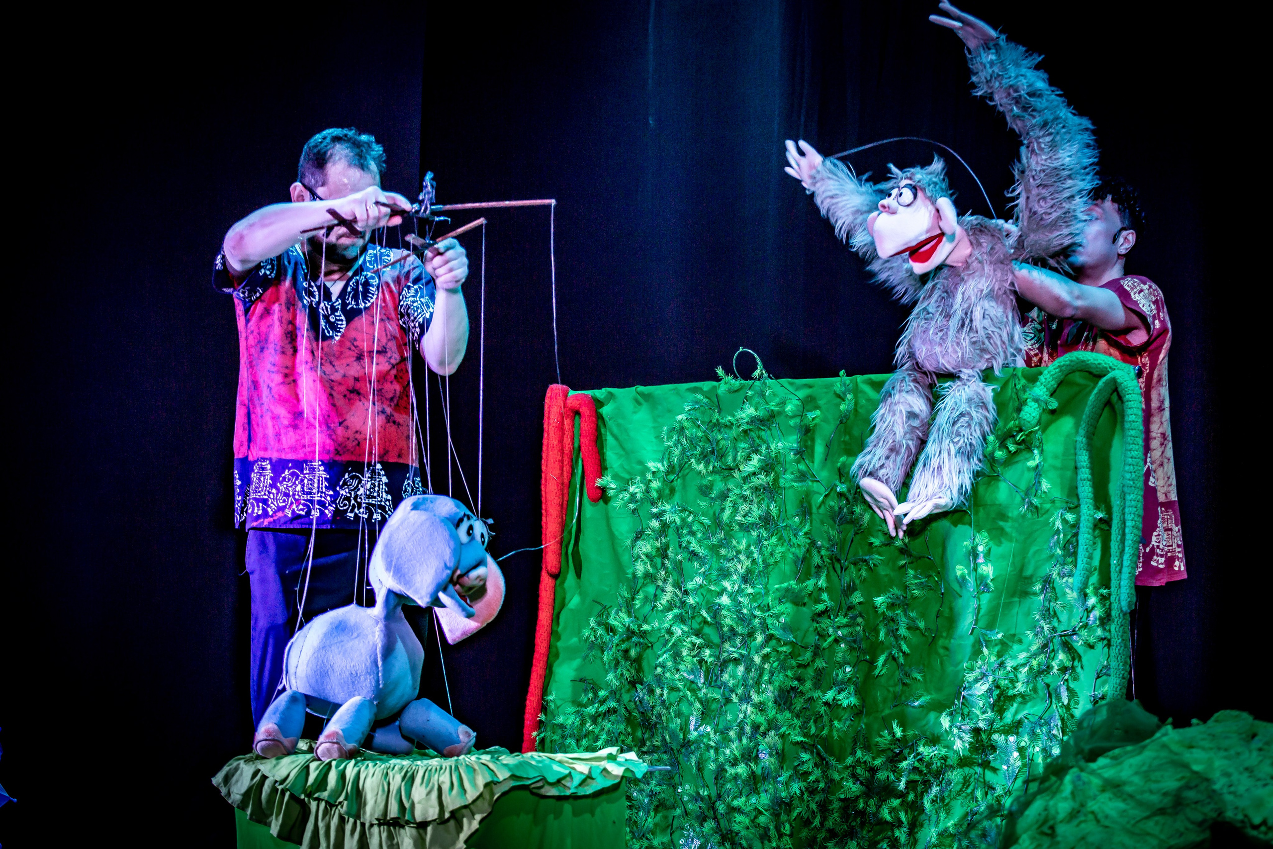 Любопытный слоненок спектакль театра Саквояж. Фотограф в Сочи Юрий Шептаев