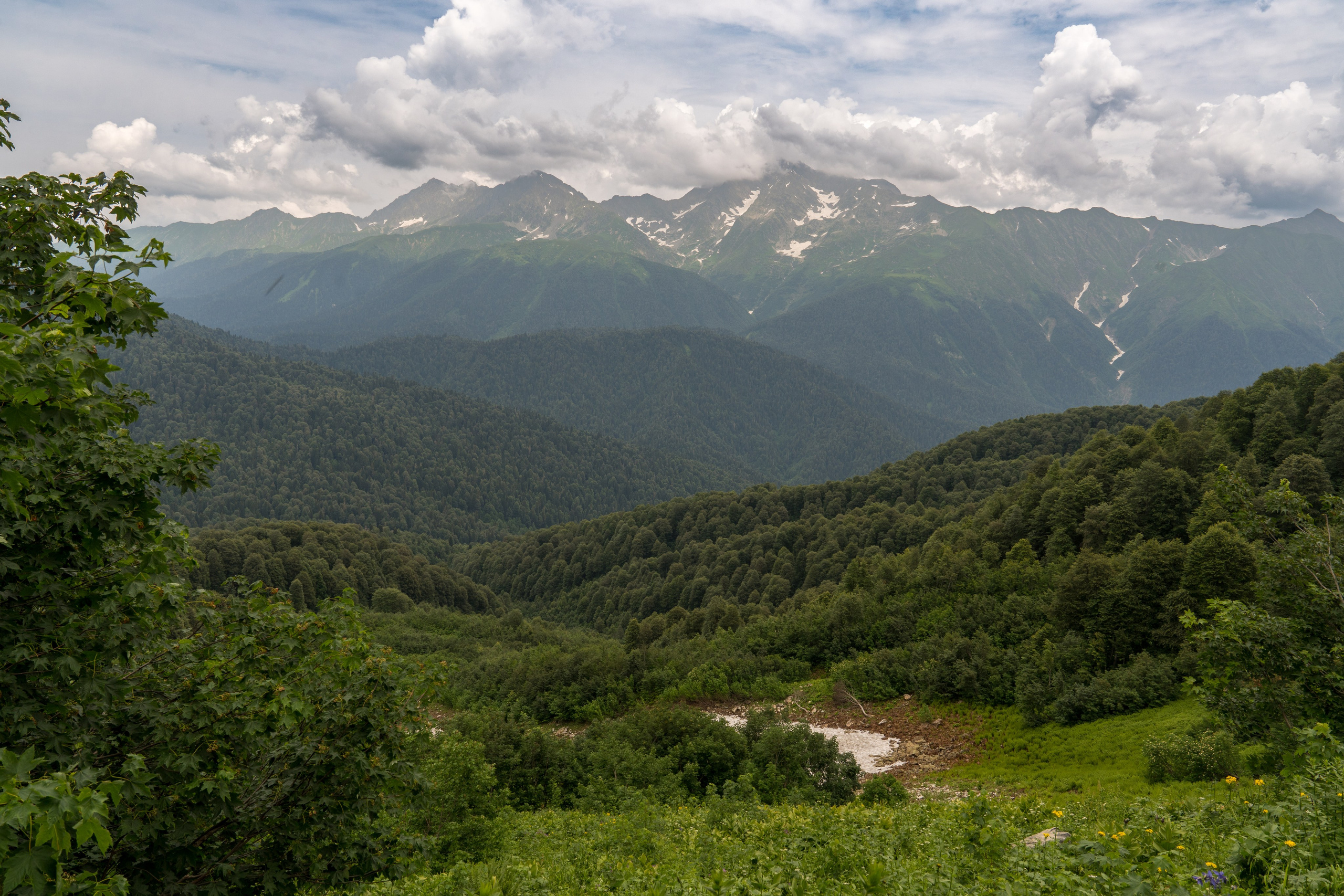 MICE мероприятие для компании «Доставка морем»: хайкинг к Ачипсинским водопадам. Репортажный фотограф в Красной Поляне и Сочи Павлюченко Екатерина