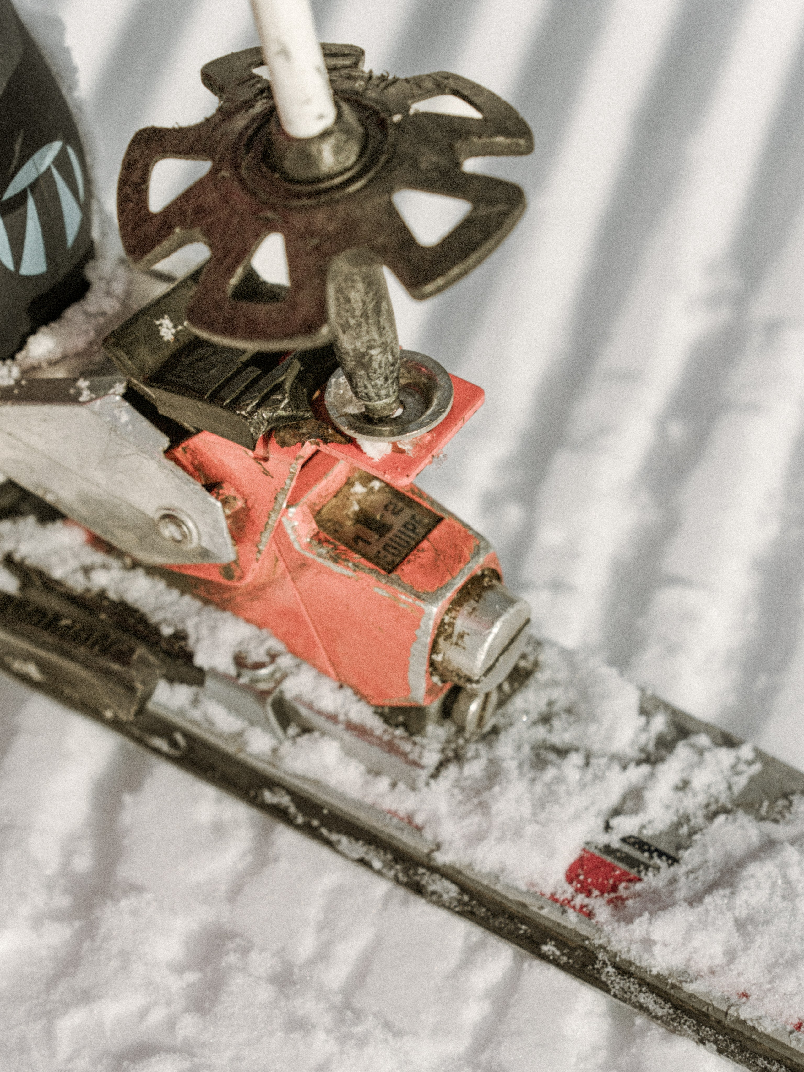 Анна. Репортажный фотограф в Красной Поляне и Сочи Павлюченко Екатерина