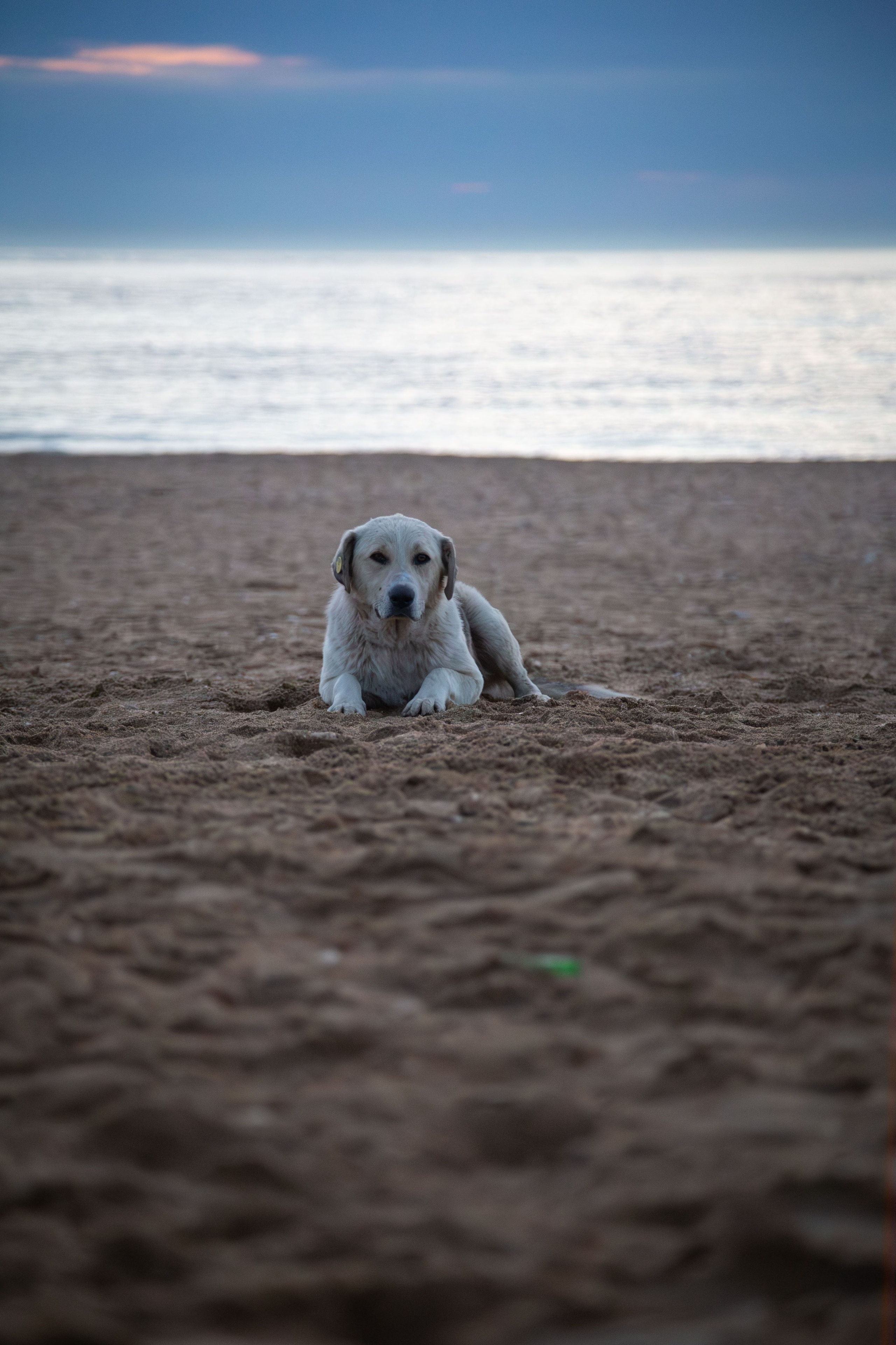 Рассвет. Dmitriy [KCCC] is a pretty cool photographer