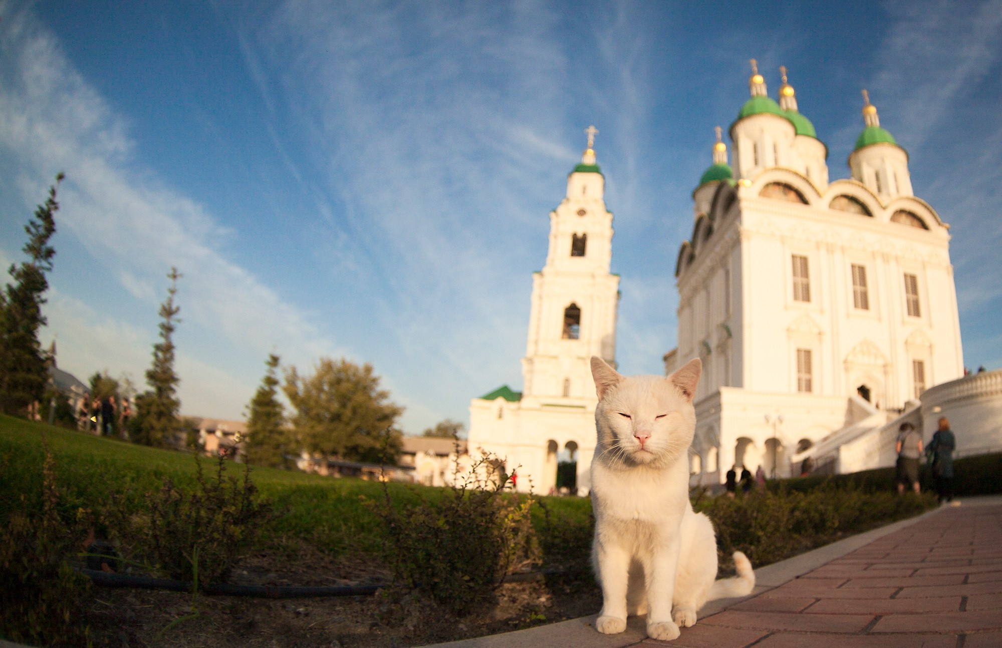 Разное. Фотограф Анатолий Деникин