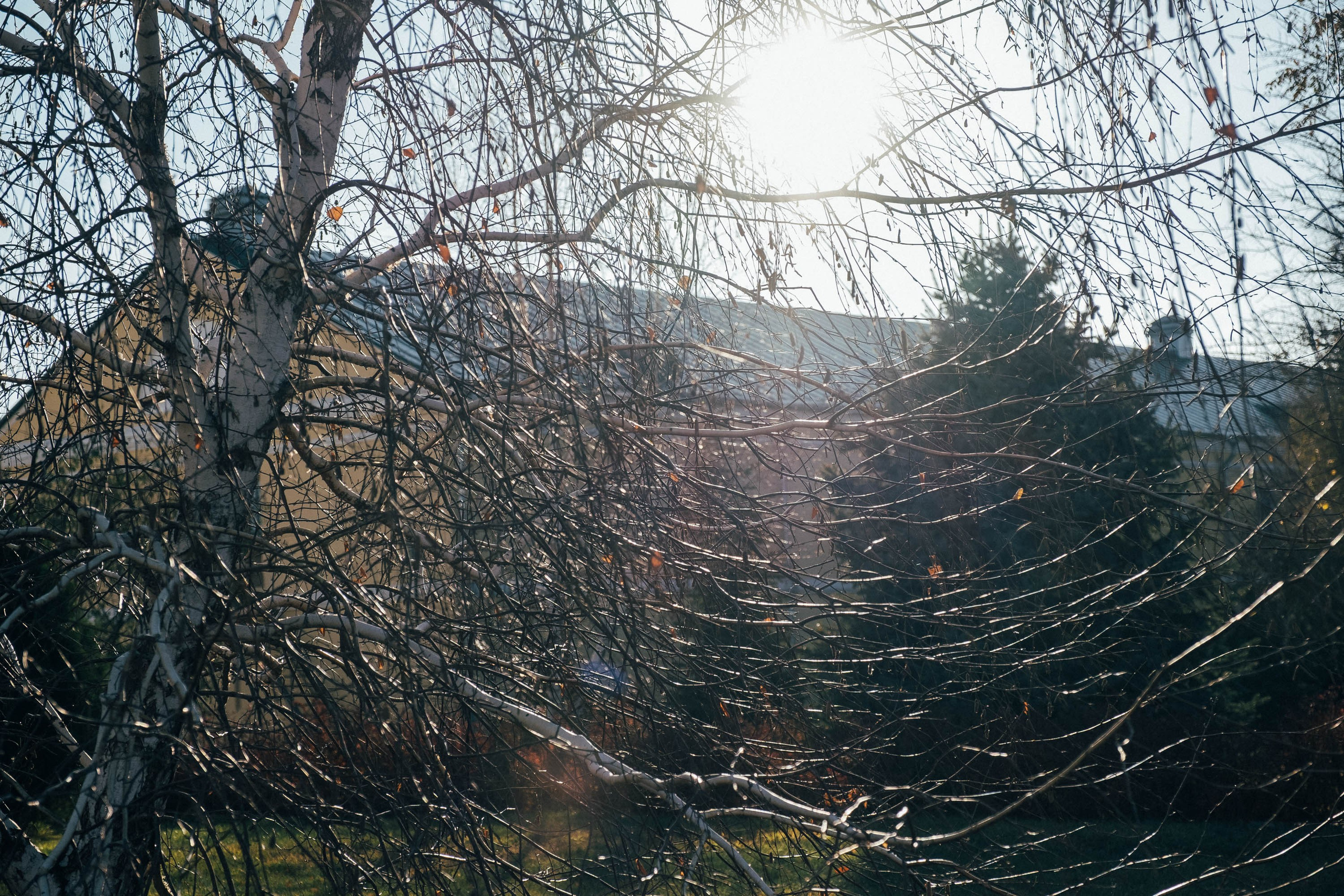 19.11.14. Фотограф Анатолий Деникин