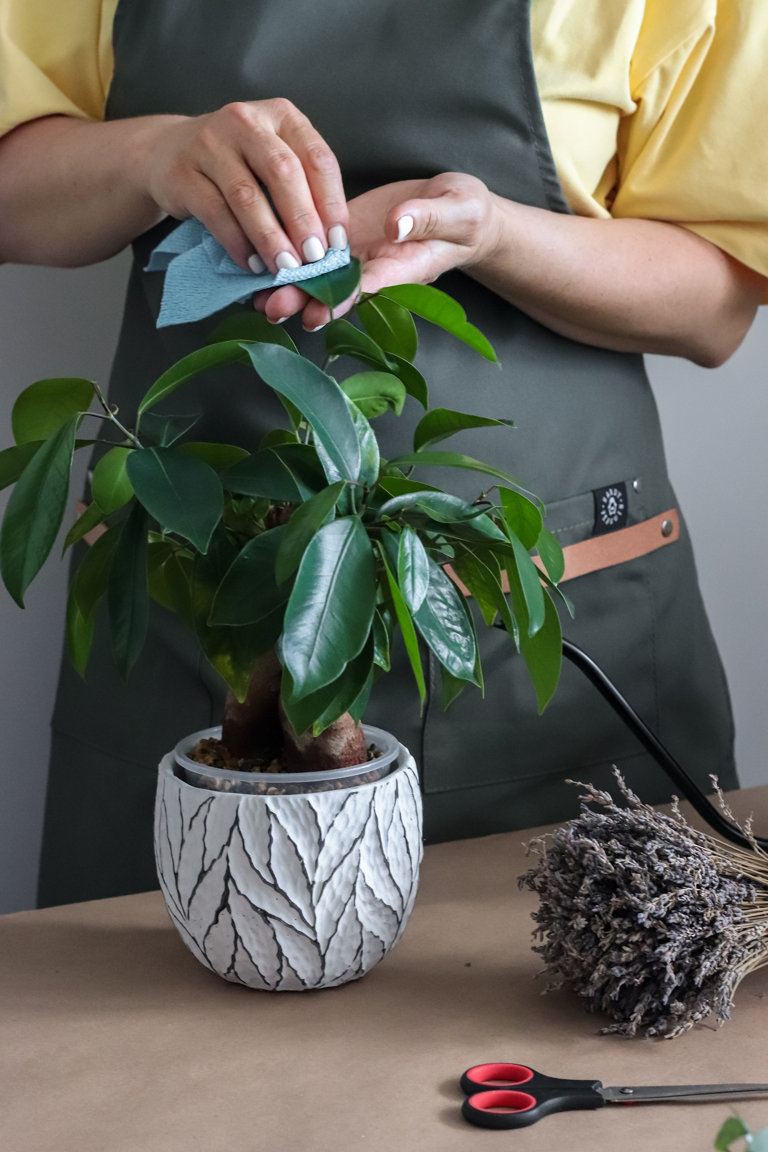 Контент съёмка для фитодизайнера. Фотограф Химки Анна Татарских