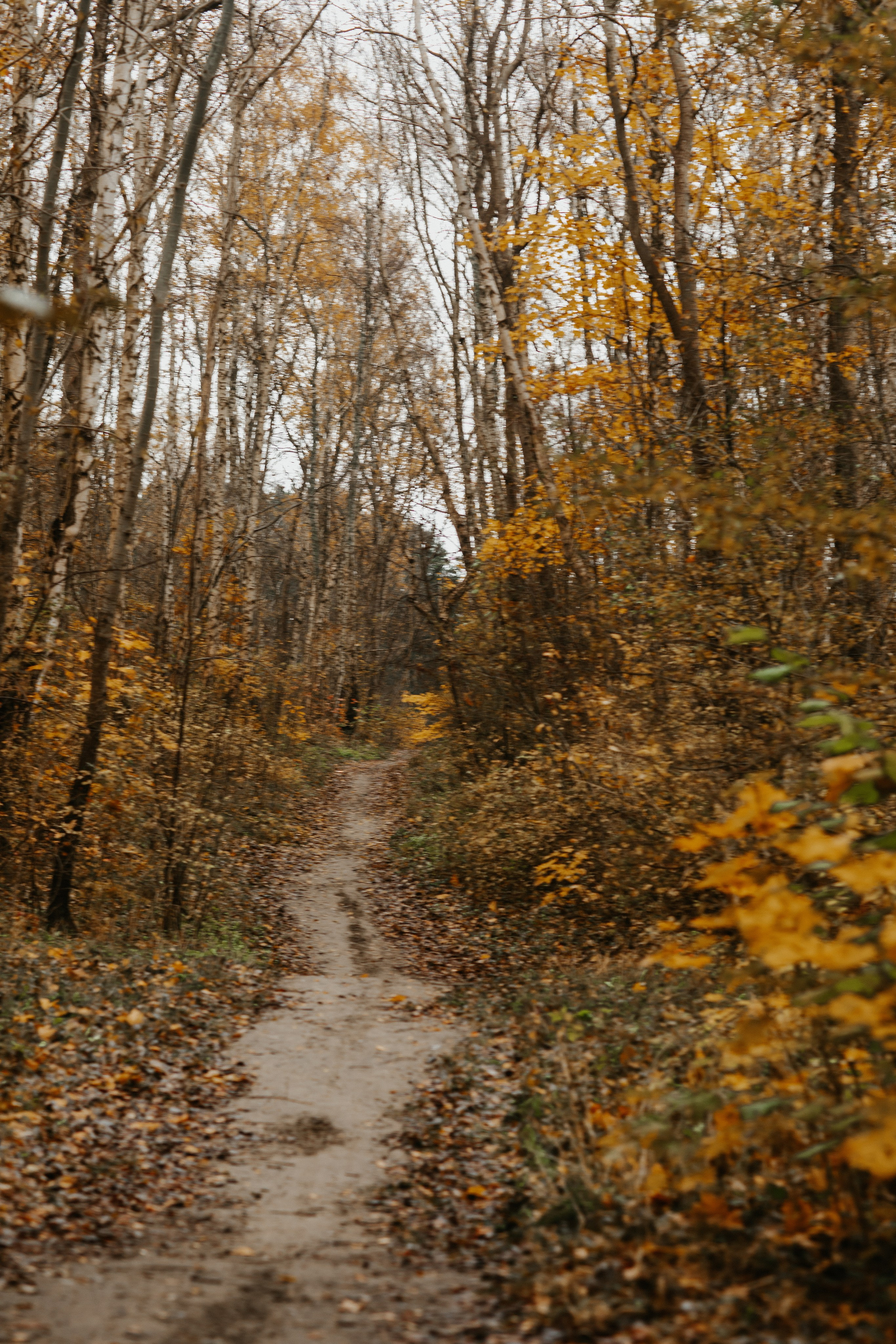 Балтийск/Калининград. Свадебный и семейный фотограф/видеограф в Краснодаре Наталья Осинская