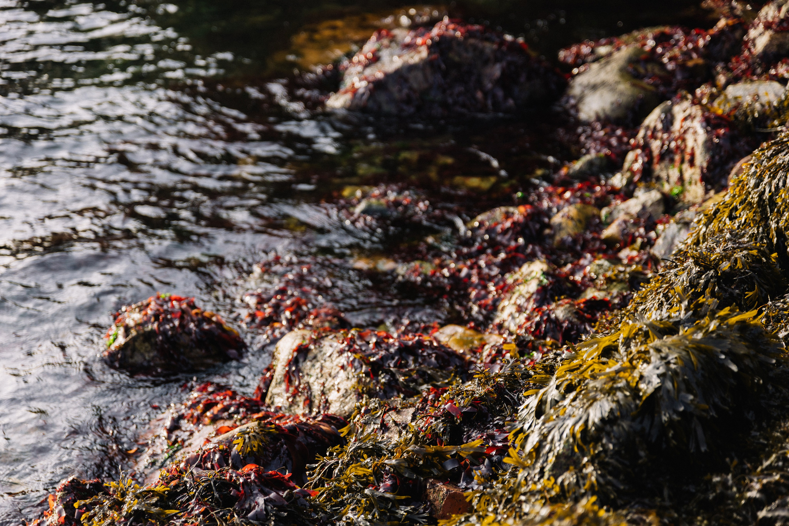 Backstage | Териберка. Репортажный фотограф в Мурманской области