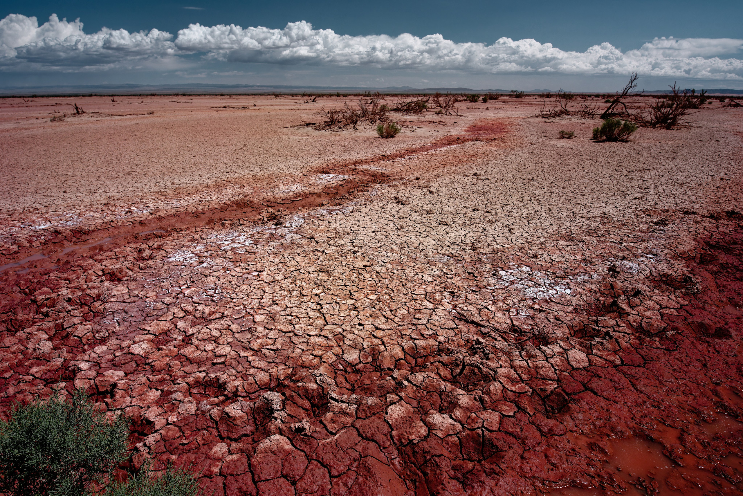 Экспедиция в Монголию (Гоби). Семоха Валерий. Фотограф