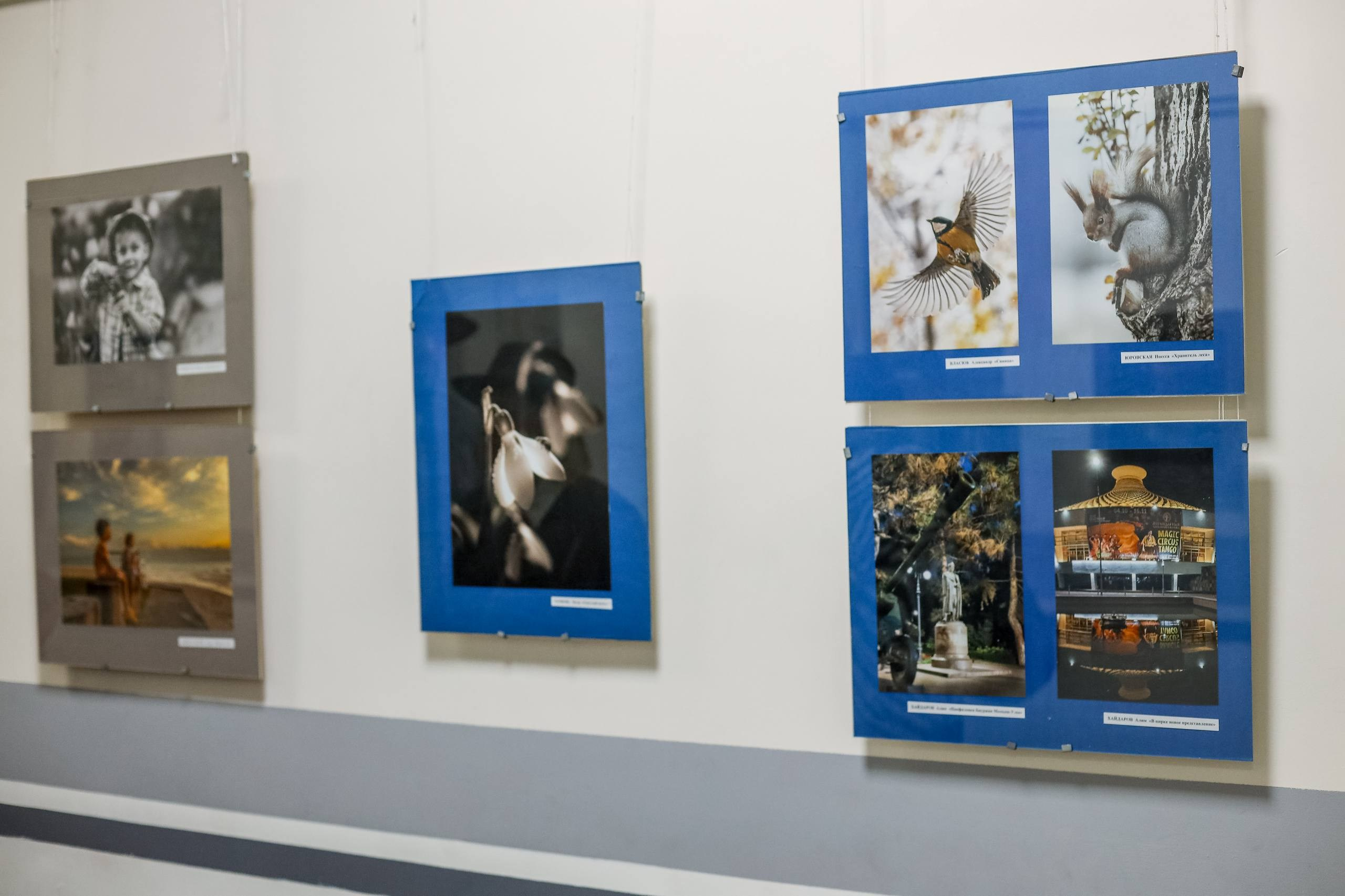 Выставки. Семейный и детский фотограф в Алматы Юровских Инесса