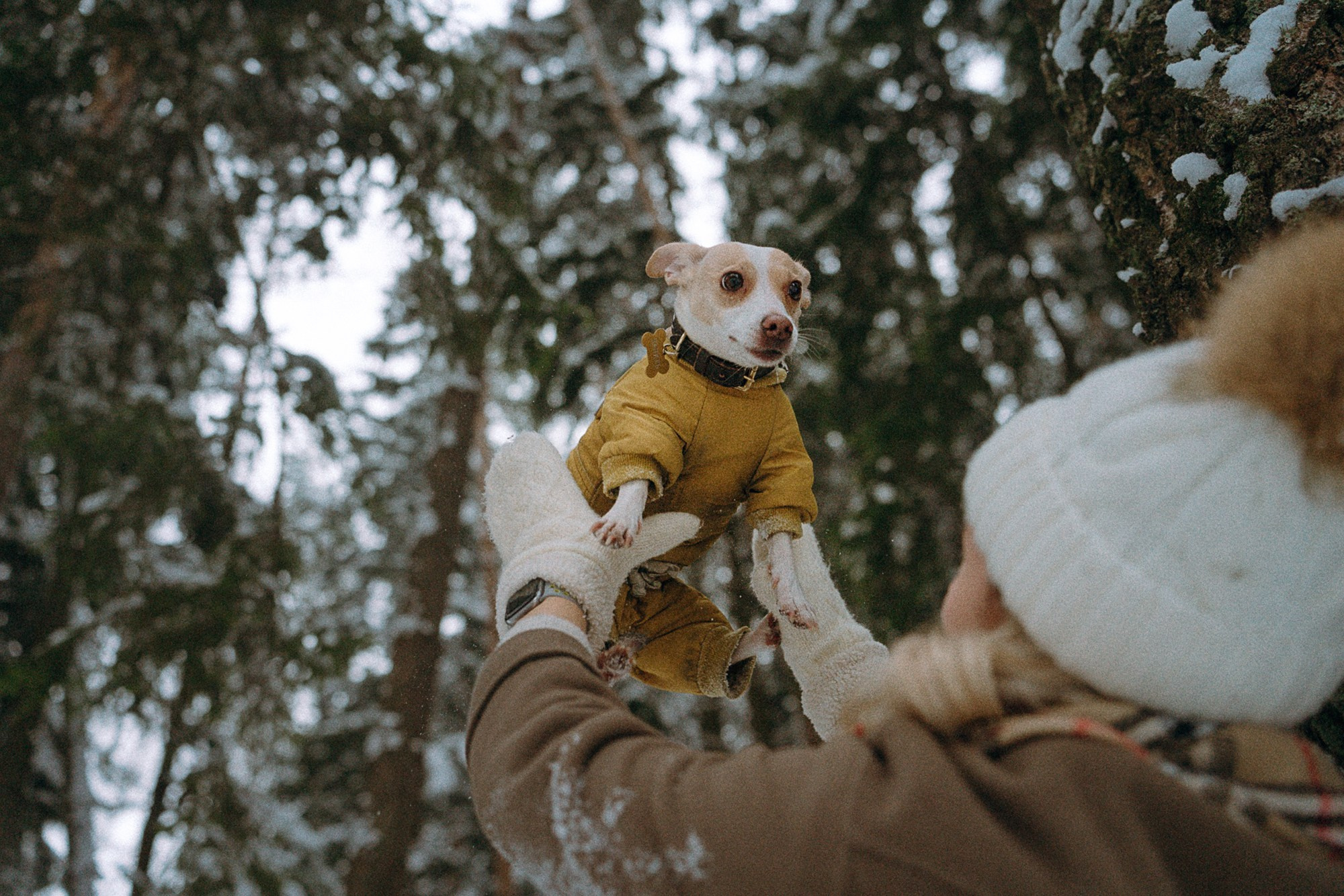 Алина, Ваниль и Элис. Фотограф анималист в Москве и Санкт-Петербурге Свиридова Анна