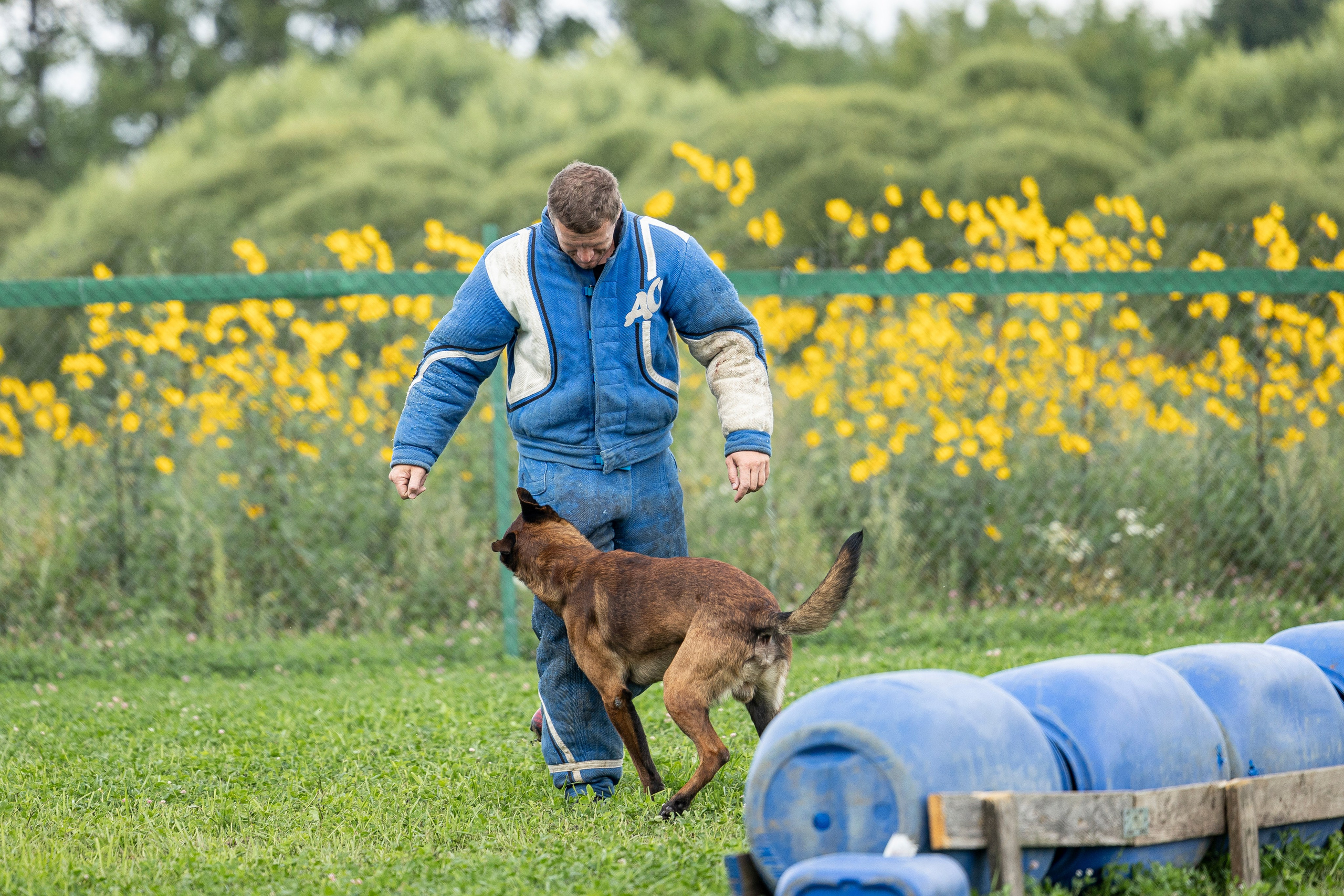 Соревнования по Мондьорингу г. Вологда 10-11.08.2024. Фотограф-анималист Анна Маринич