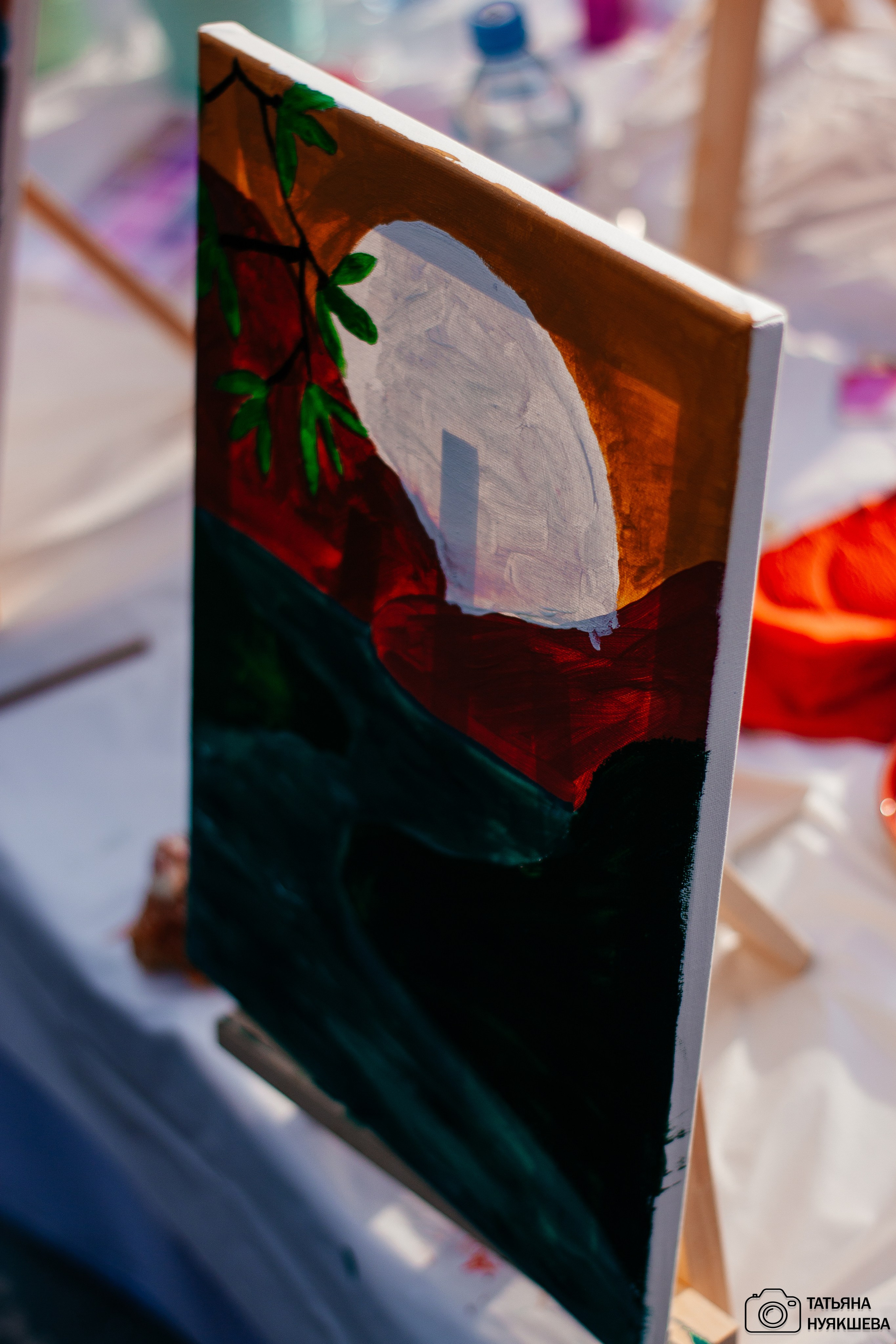 Арт-пикник 21.06.2024. Свадебный и семейный фотограф Татьяна Нуякшева Новоалтайск — Барнаул